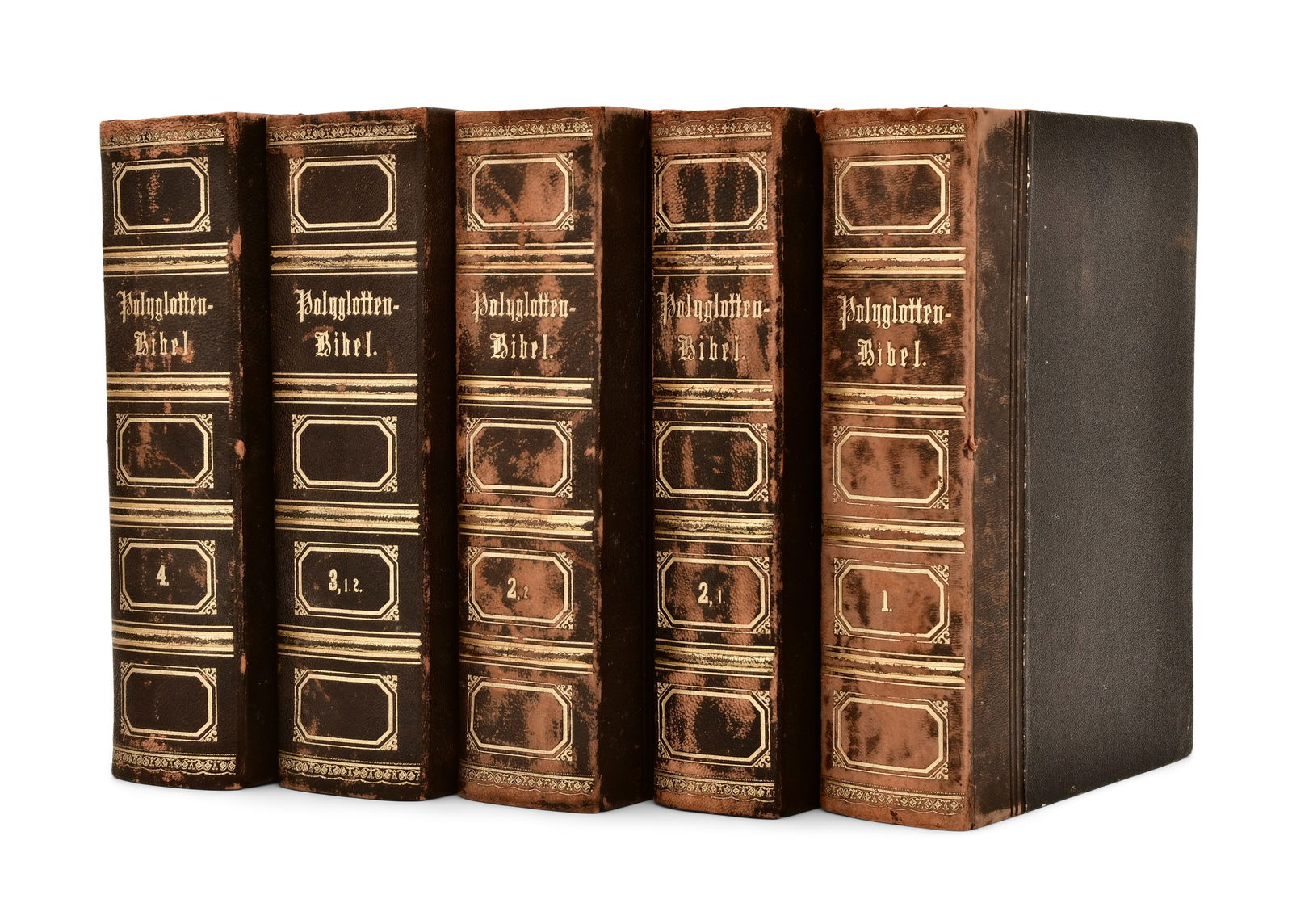 Lot of Five Polyglot Bibles (1 of 1)