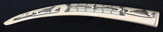 Full Walrus Tusk Cribbage Board: Full Walrus Tusk Cribbage Board. Large 23 in. walrus tusk scrimshaw engraved with black pigment, scenes include seals on the ice, polar bear in the water beside them and a row with two salmon between 