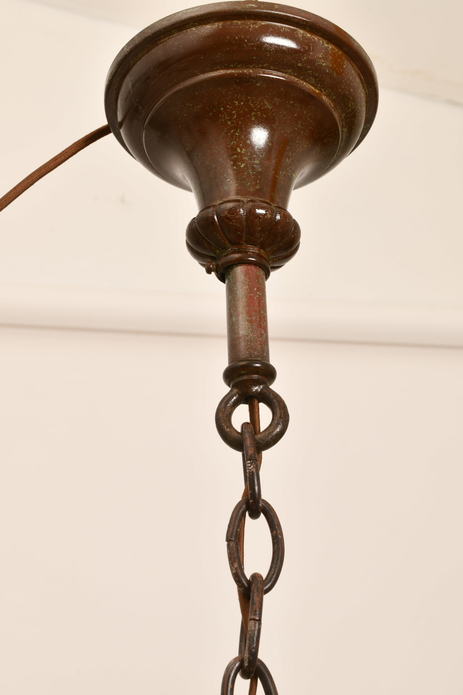 Handel "Double Parrot" Ceiling Light - 6