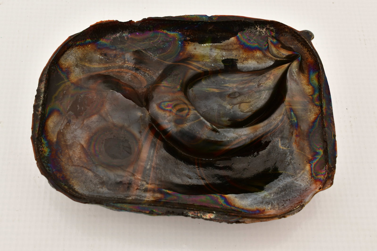 Tiffany Studios "Turtle-Back" Tile - 4