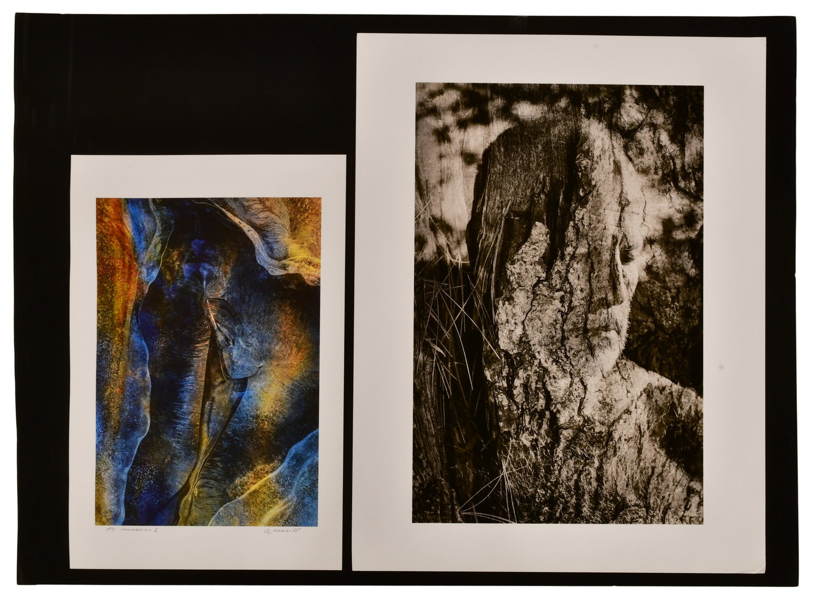 Olga Merrill, "Enigma Behind" & "Immersion 2," Archival Pigment on Hahnemuhle Fine Art Photo Rag (1 of 8)
