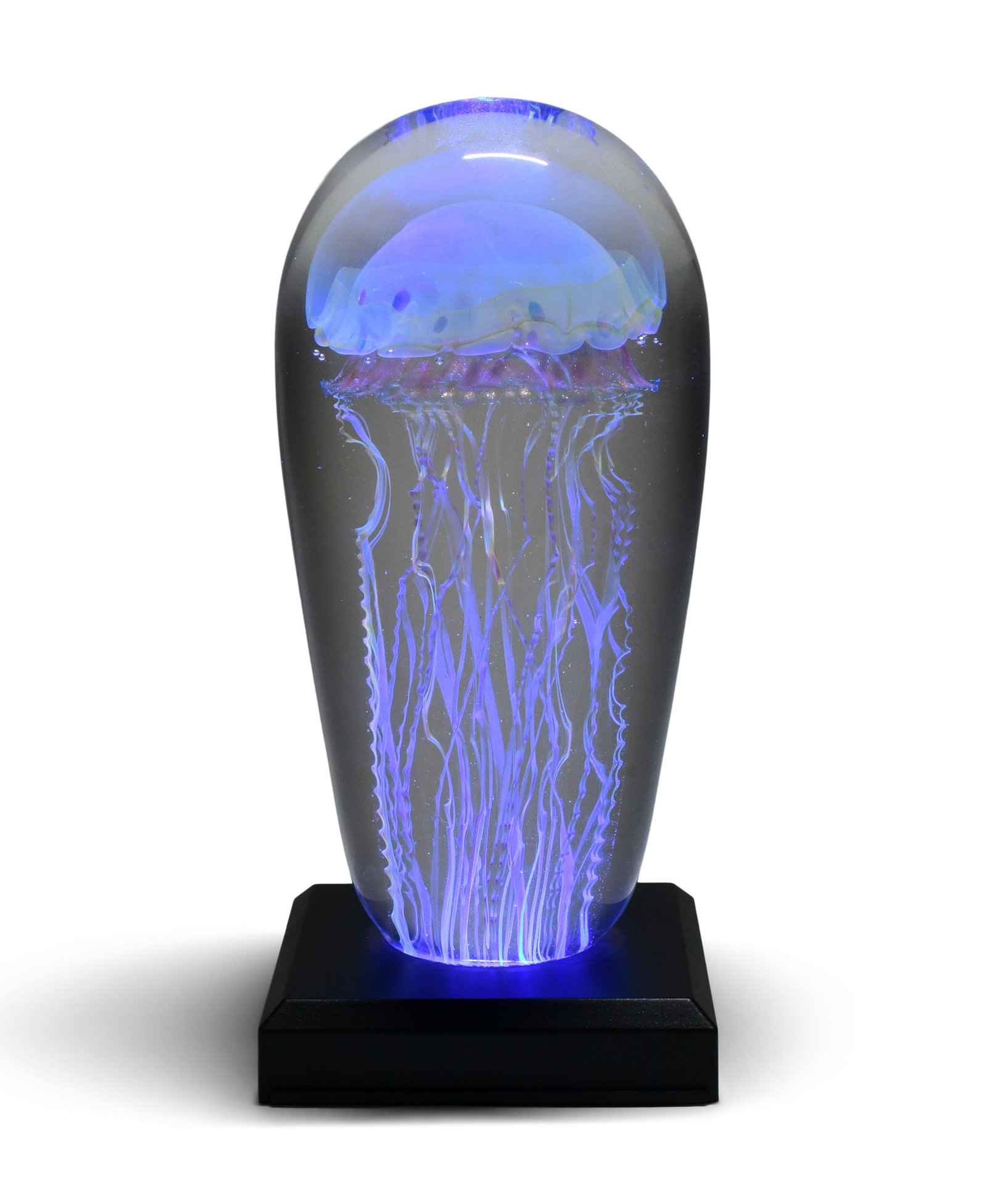 Richard Satava (American, b. 1950), Jellyfish Paperweight (1 of 8)