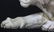 Carved Marble Tiger Sculpture - 3