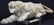 Carved Marble Tiger Sculpture - 5