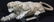 Carved Marble Tiger Sculpture - 6