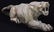 Carved Marble Tiger Sculpture - 8