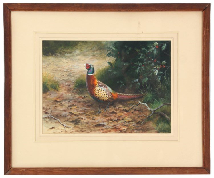 D.M. Henry W/C & Gouache Ring Neck Pheasant: David Morrison Reid Henry (1919-1977, UK) watercolor painting with highlighted gouache body color, depicts a standing male ring neck pheasant in vibrant color, has autumn leaves on the ground, tall gr