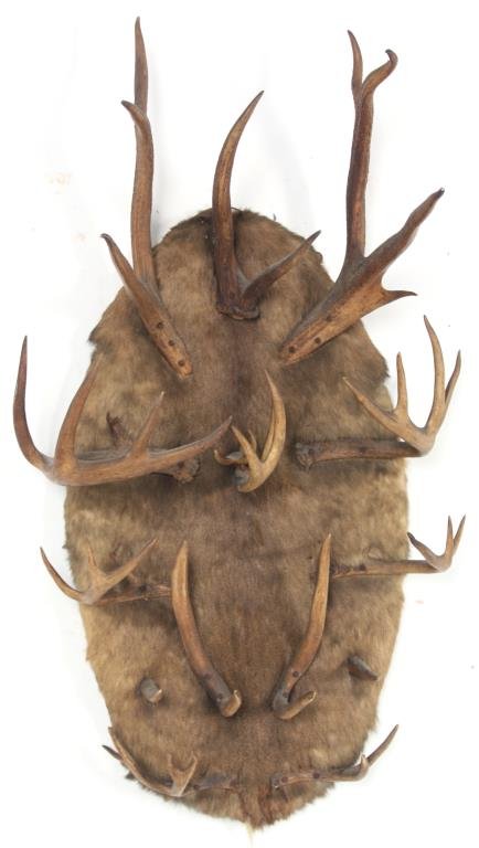 Adirondack Antler Hat Rack: Adirondack Antler Hat Rack. Oval wall mount with deer hide cover and mounted with natural deer antlers as coat hooks, in good condition. 46 in. high x 26 in. wide x 12 in. deep.