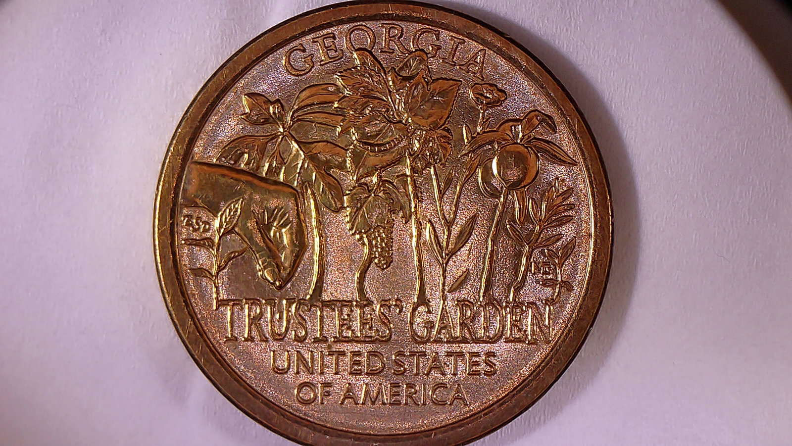 2019 D Georgia Trustees' Garden American Innovation, Uncirculated (OBR $1.00 Error COIN: This Beautiful 2019-D Georgia Trustees Garden American Innovation Dollar Coin, While Technically NIFC (Not Intended for Circulation), Featuring a Spectacular combination of Minting Errors and Anomalie