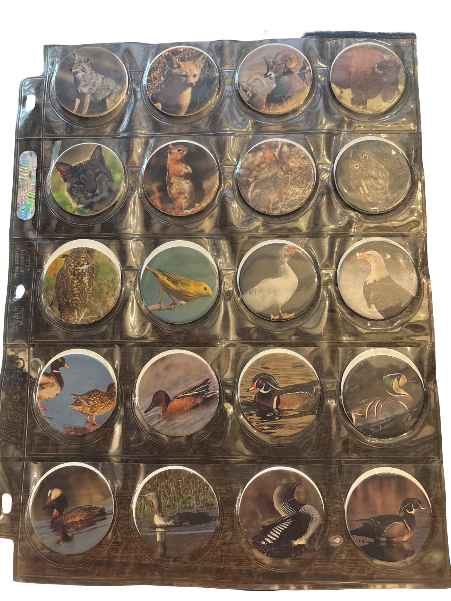 Album Page with Wildlife Collectible pogs/ milk caps: Two plastic album pages containing 40 wildlife-themed collectible pogs , featuring various animals, birds, and aquatic creatures. Each pog is housed in a clear compartment for protection and visibilit
