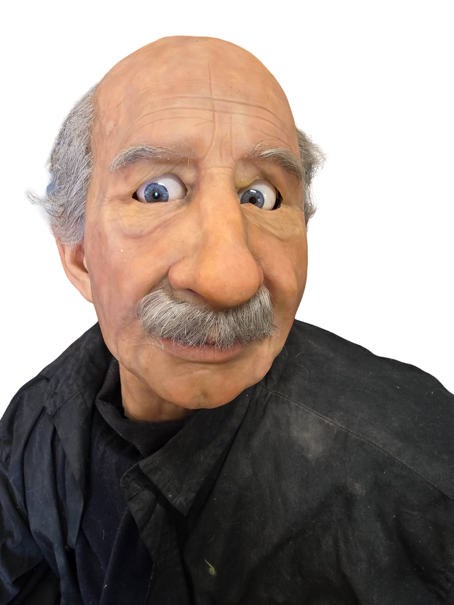 Animatronic Albert Einstein Model with Realistic Features - 2