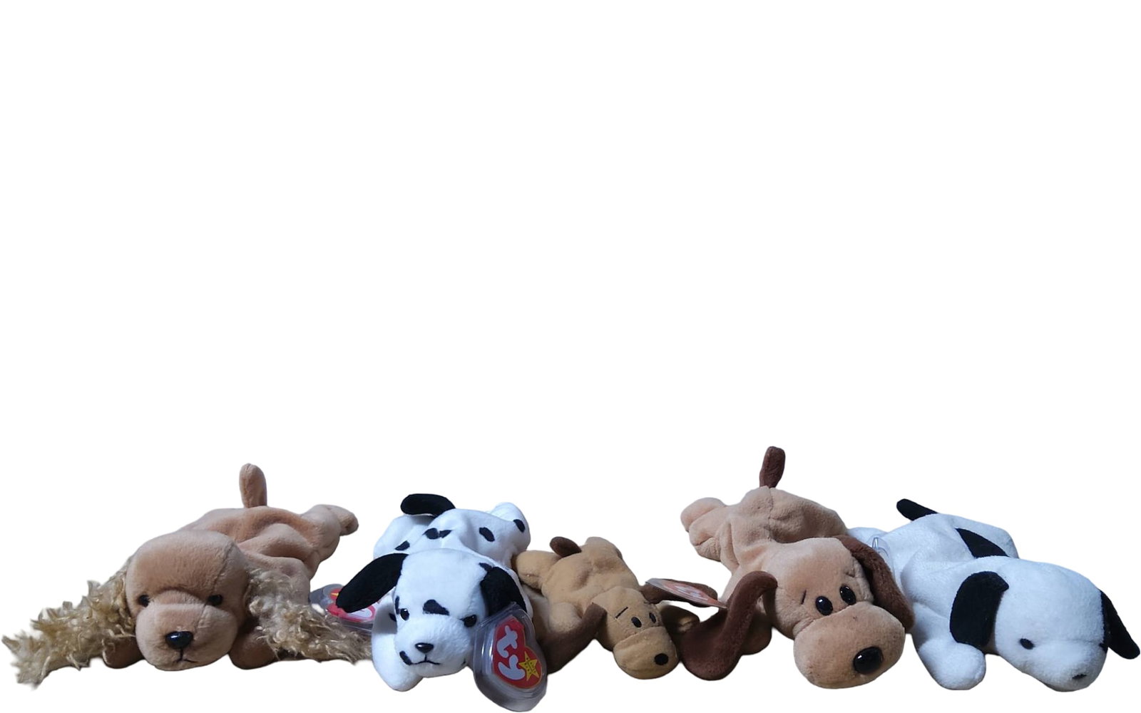 5 TY Beanie Baby Stuffed Dogs with Tags: 5 TY Beanie Baby stuffed dogs of various breeds. Each plush features soft fabric construction with some retaining their original TY heart-shaped tags. Estimated dimensions vary slightly, approximately