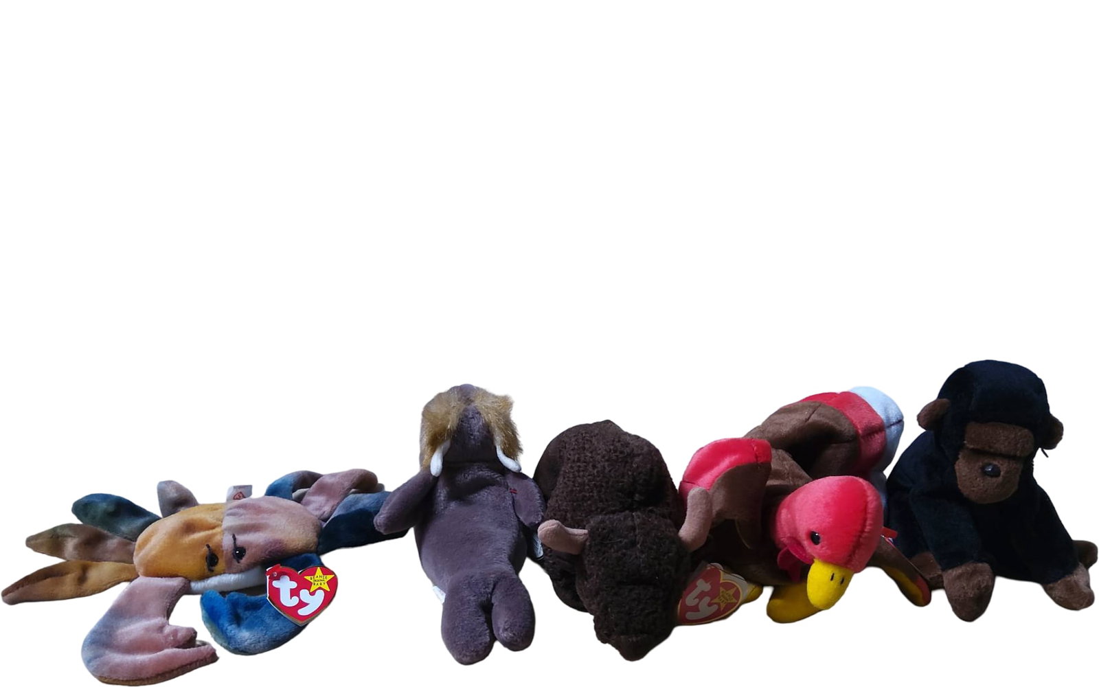 5 Ty Beanie Babies with Various Animal Designs (1 of 7)