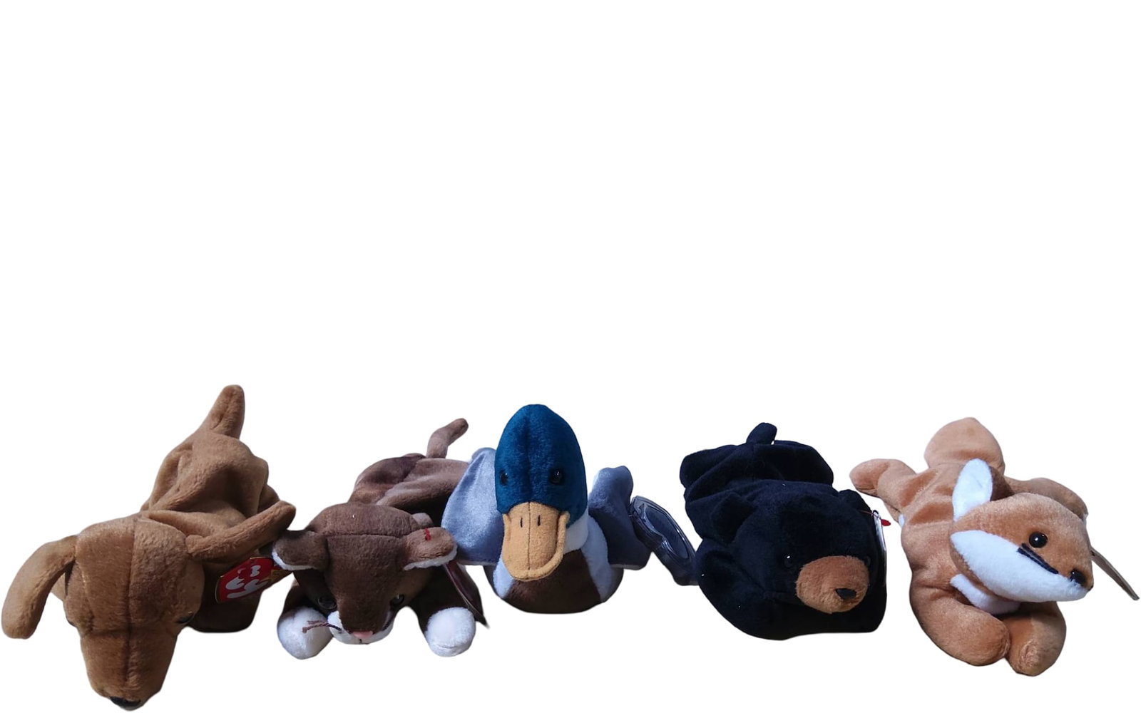 5 Ty Beanie Babies Including Dog, Deer, Duck, Bear, and Fox: Five Ty Beanie Babies featuring a variety of animal characters: a brown dog, a deer, a mallard duck, a black bear, and a fox. Each plush toy is approximately 6 to 8 inches in length and includes an at