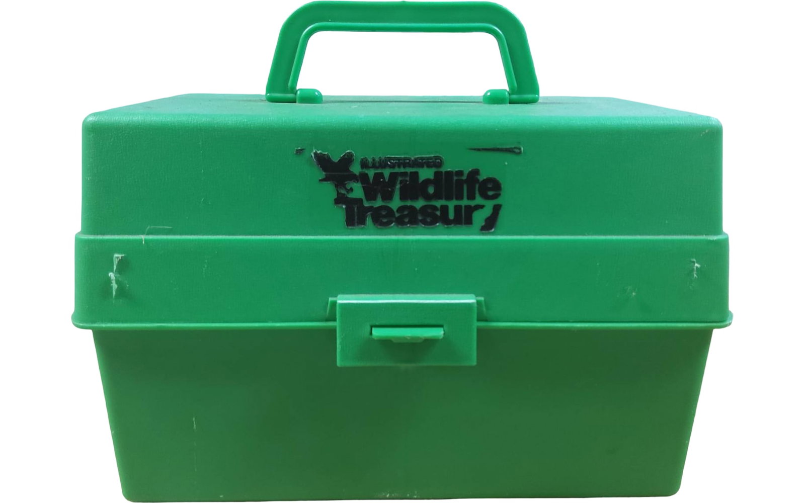 Green Wildlife Treasure Storage Box with Educational Cards: Green plastic wildlife-themed storage box branded 'Wildlife Treasure,' containing educational cards categorized by topics such as forests and specific animals (e.g., barn owl). Box features attached