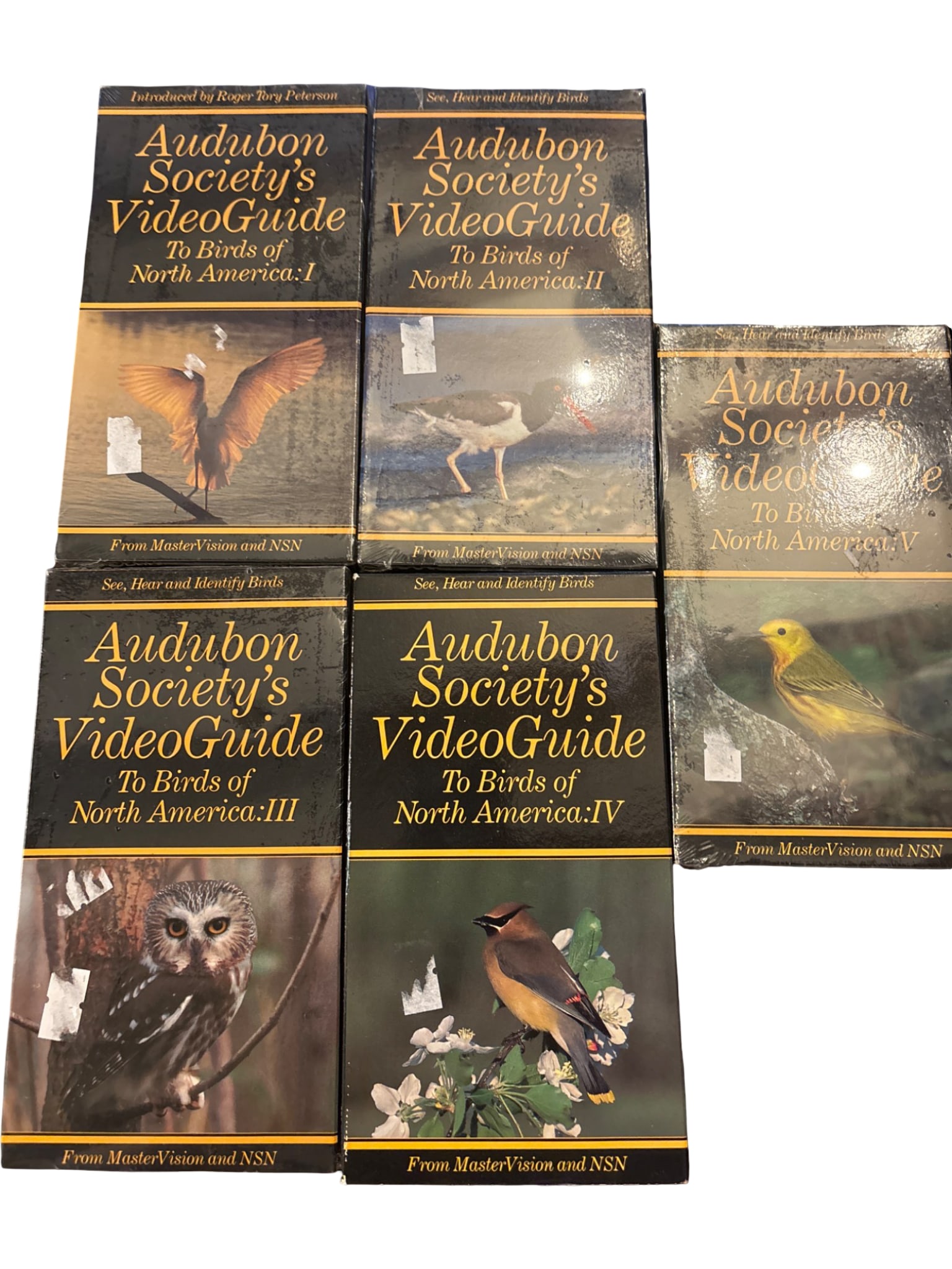 Audubon Society’s VideoGuide VHS Collection to Birds of North America, Complete 6-Volume Set: Six-volume collection of the 'Audubon Society's VideoGuide to Birds of North America,' featuring VHS tapes with content on identifying birds across various regions. Produced by MasterVision and NSN,