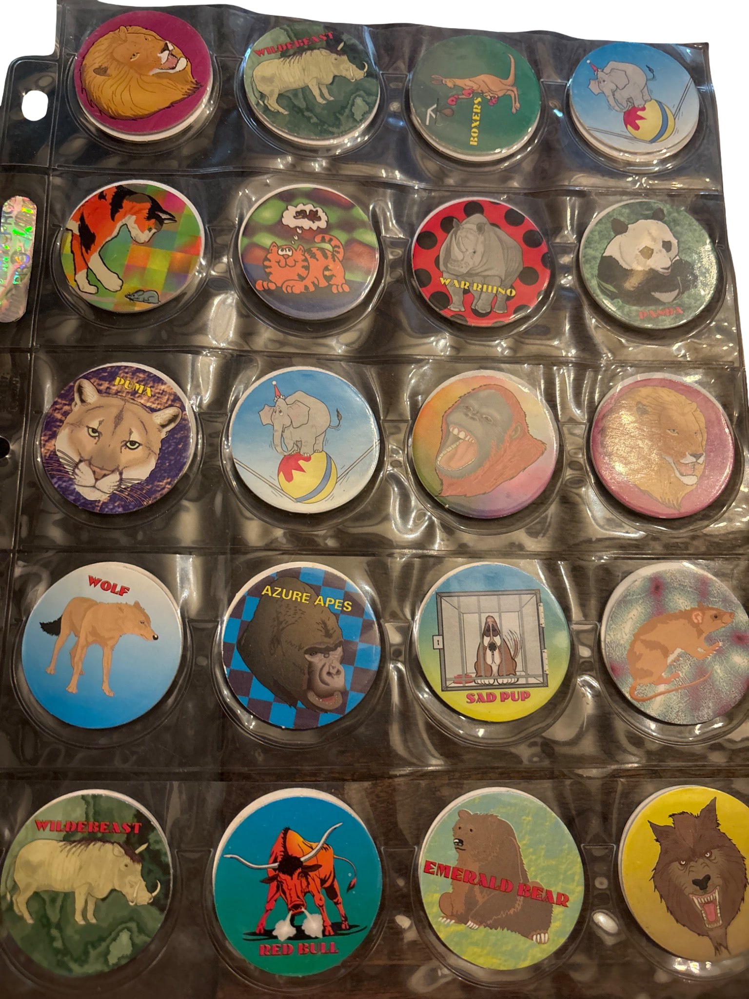POG Milk Caps in Protective Binder: 40 POG milk caps featuring various designs, including animals, landscapes, and humorous illustrations. Items are housed in a clear plastic storage binder for organization and protection. Printing and