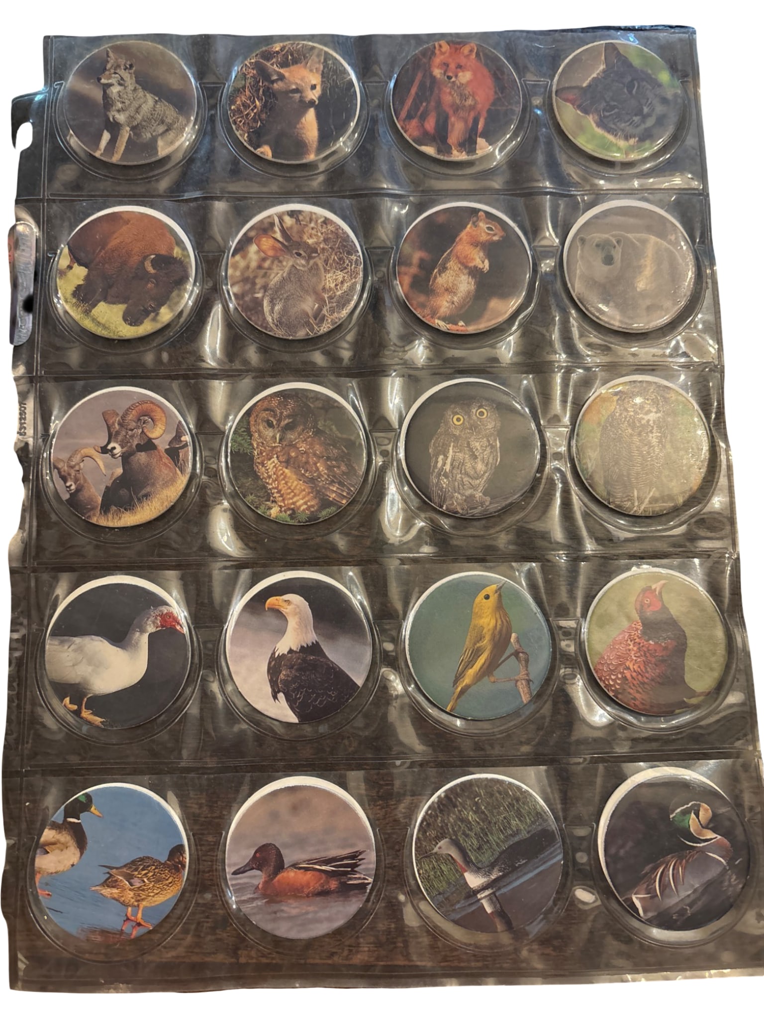 40 Wildlife-Themed Pog Caps: Album page containing 40 Pog caps with wildlife-themed designs, featuring diverse animals and birds including owls, ducks, reptiles, and other species. Each cap is housed in a clear plastic sleeve for