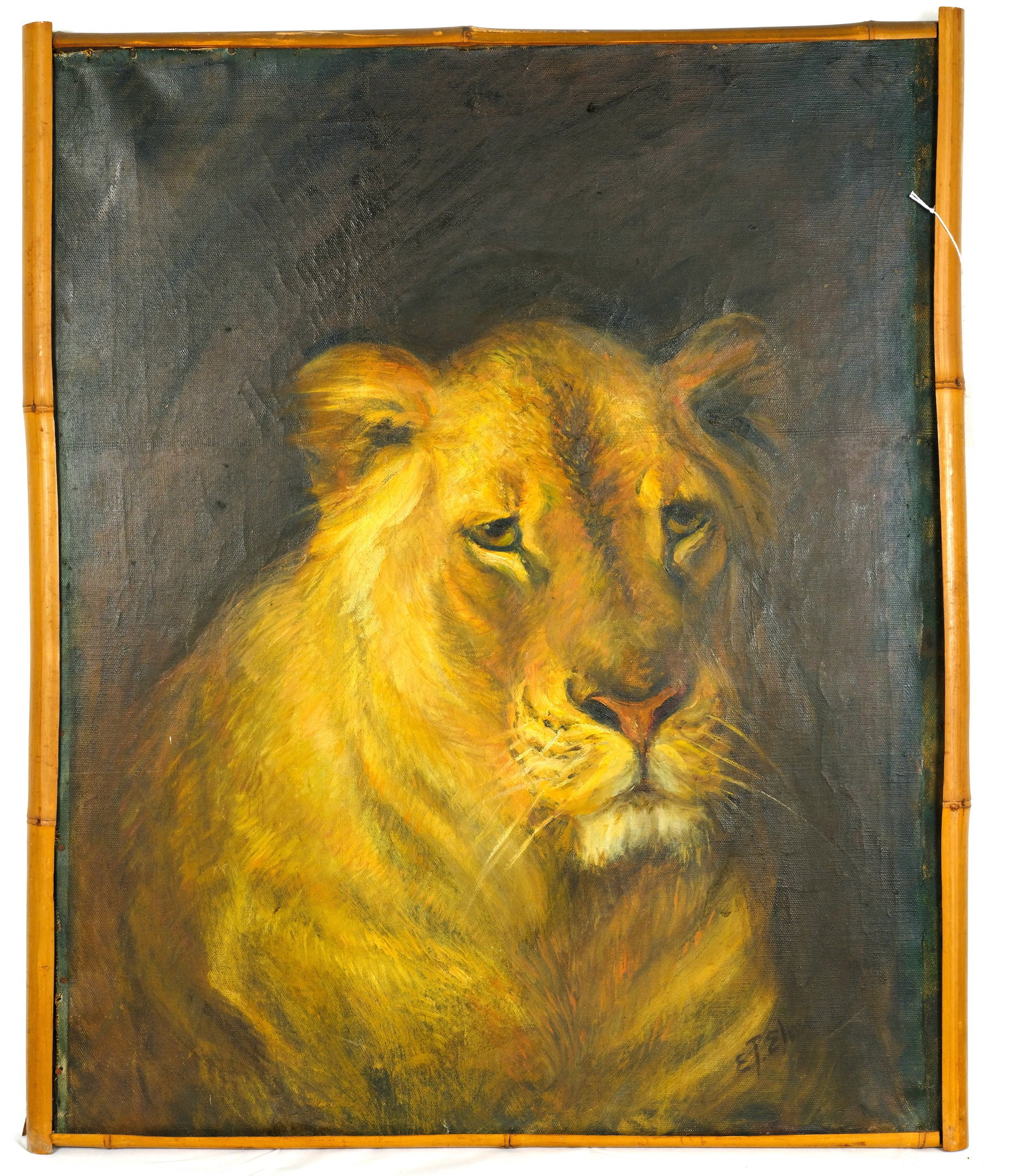 Lioness Painting: Oil on canvas Painting of lioness with Bamboo Frame H 30 x W 24 7/8 in. (Stretcher size) H 30 3/4 x W 25 1/2 in (frame)