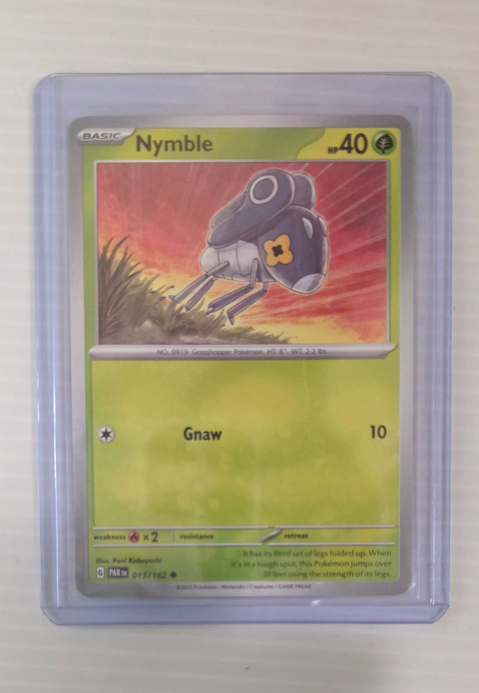 Nymble 013/182 Paradox Rift Raw Pokemon Card in Top Loader (1 of 4)
