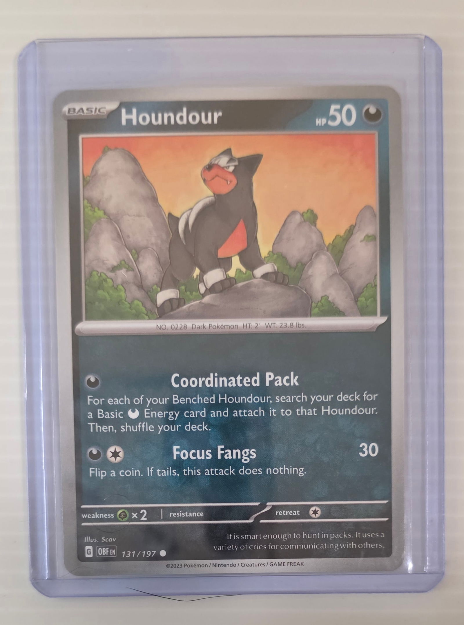 Houndour 131/197 Obsidian Flames Raw Pokemon Card in Top Loader (1 of 4)