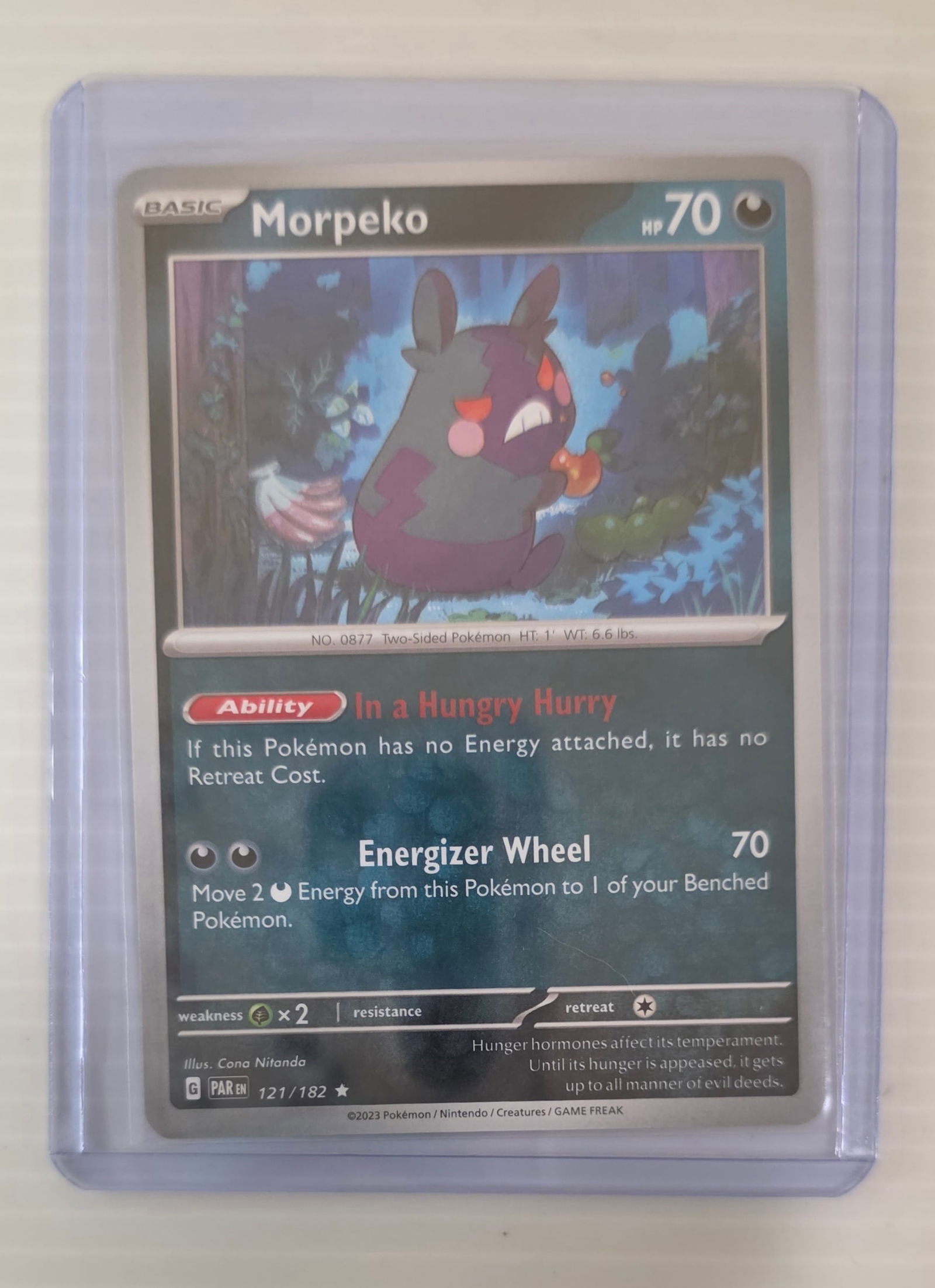 Morpeko 121/182 Paradox Rift Raw Pokemon Card in Top Loader (1 of 4)