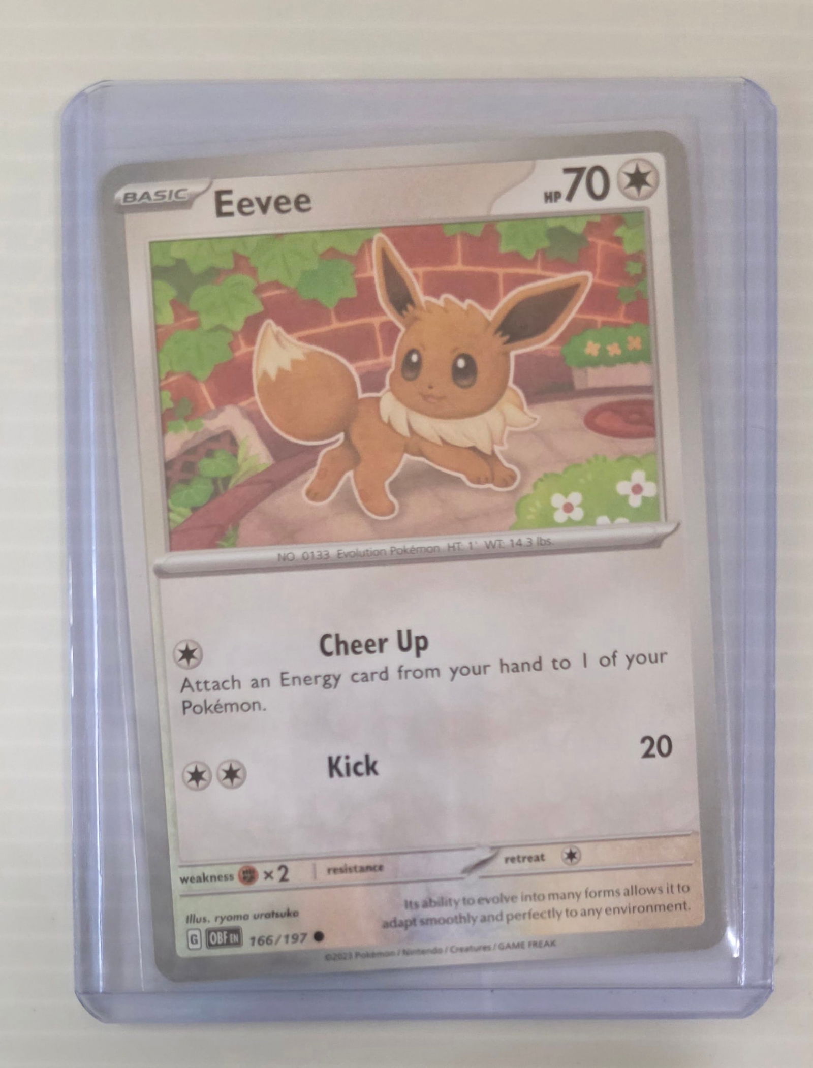 Eevee 166/197 Obsidian Flames Raw Pokemon Card in Top Loader (1 of 4)