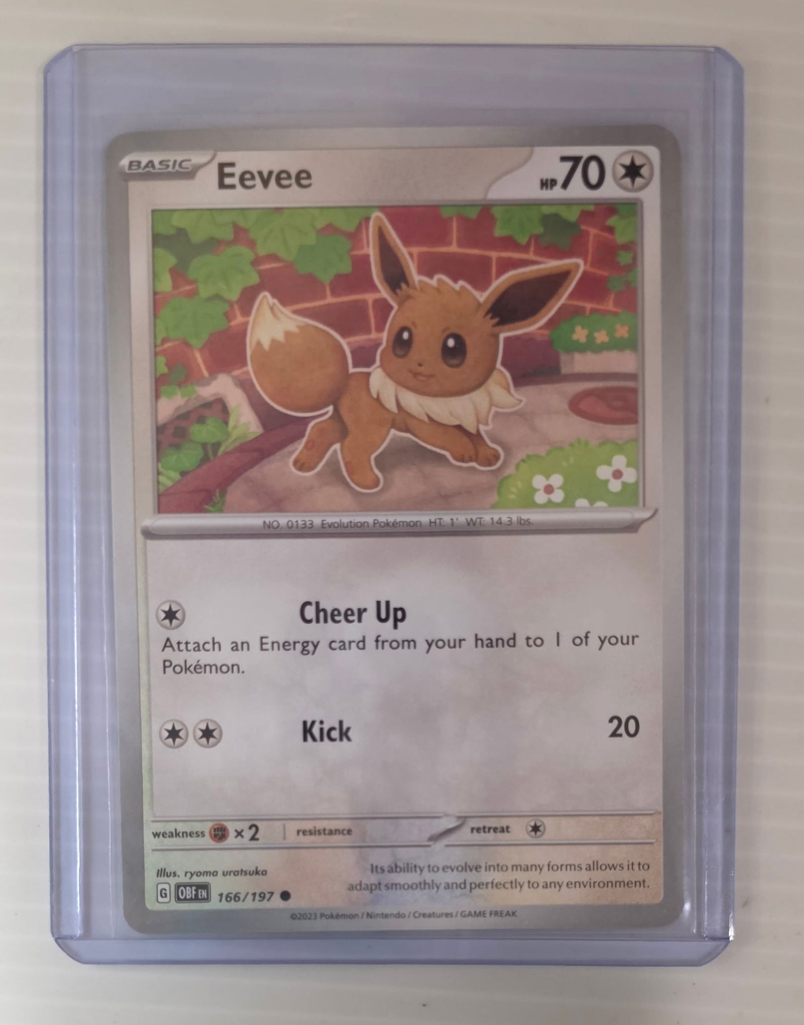 Eevee 166/197 Obsidian Flames Raw Pokemon Card in Top Loader (1 of 4)