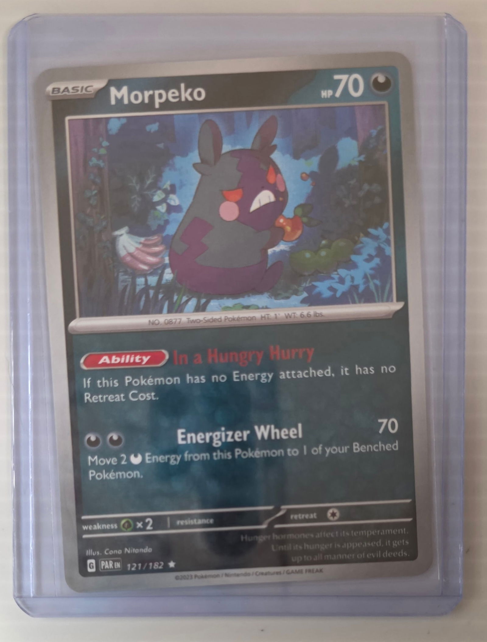 Morpeko 121/182 Paradox Rift Raw Pokemon Card in Top Loader (1 of 4)