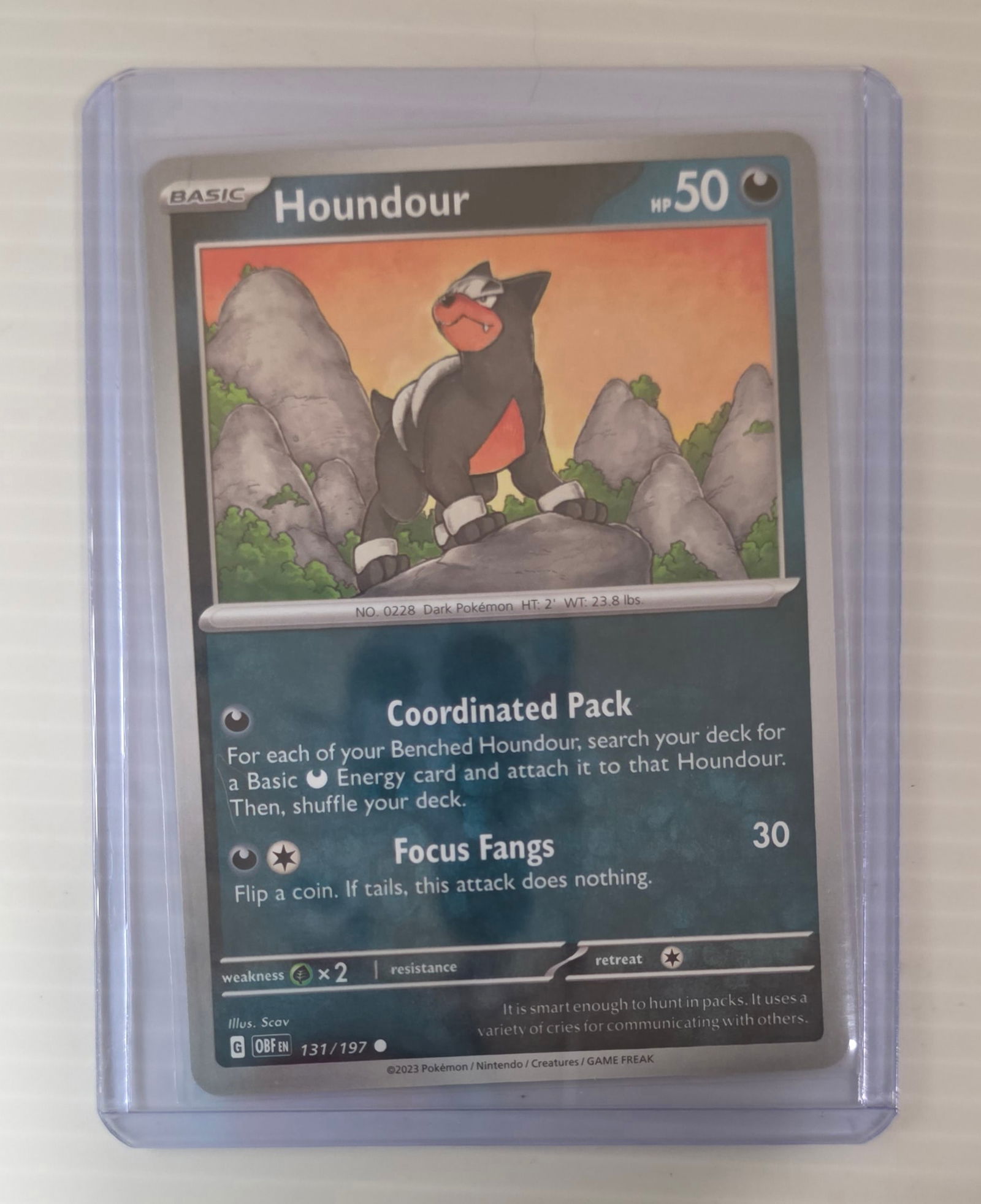 Houndour 131/197 Obsidian Flames Raw Pokemon Card in Top Loader (1 of 4)