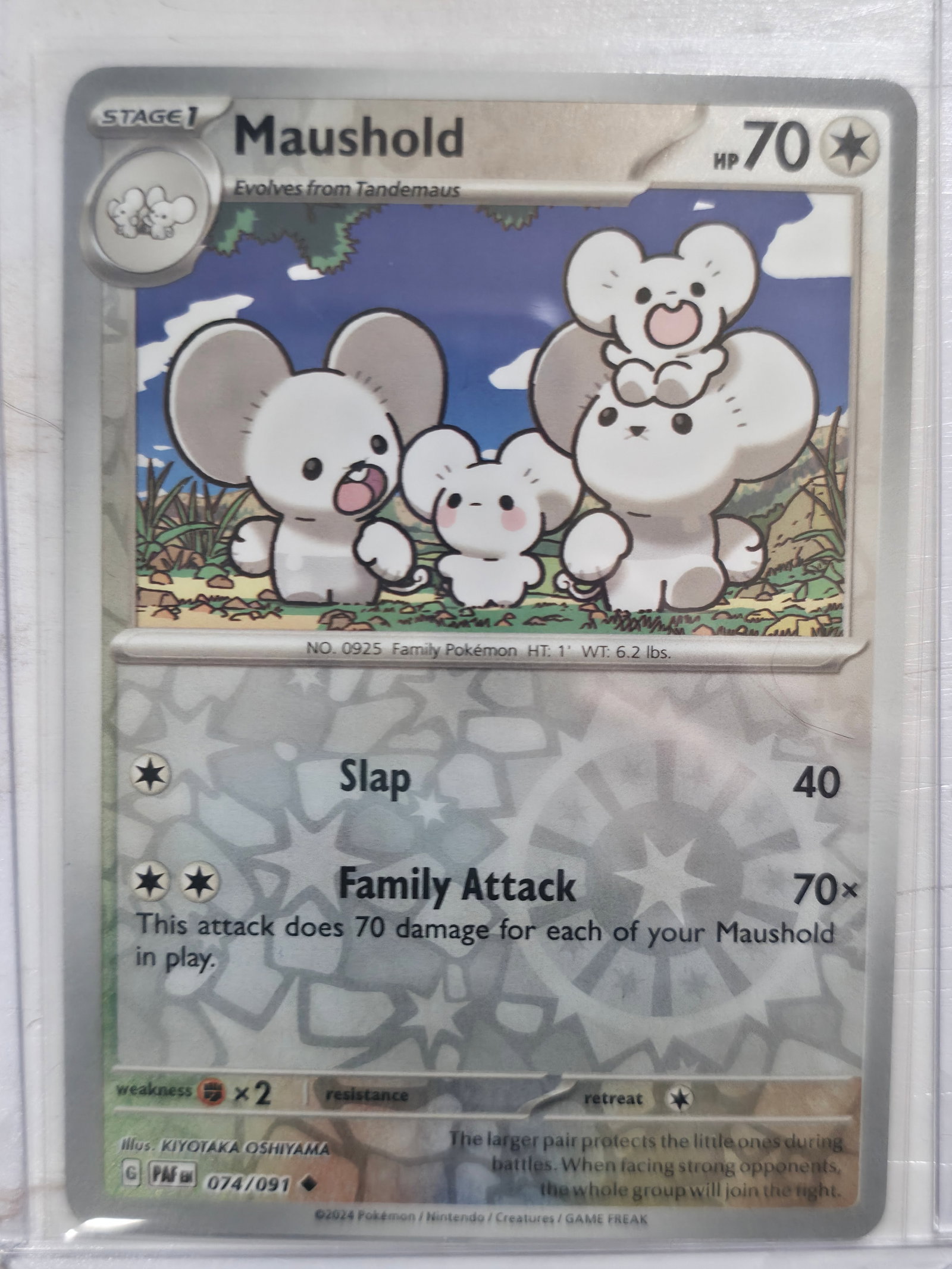 2024 Maushold Paldean Fates 074/091 Uncommon: Maushold Stage 1 Colorless Pokemon, evolves from Tandemaus. Paldean Fates set. Card number 074/091. Uncommon non holo. Illustrated by KIYOTAKA OSHIYAMA. 2024 Pokemon Nintendo Creatures GAME FREAK. Pre