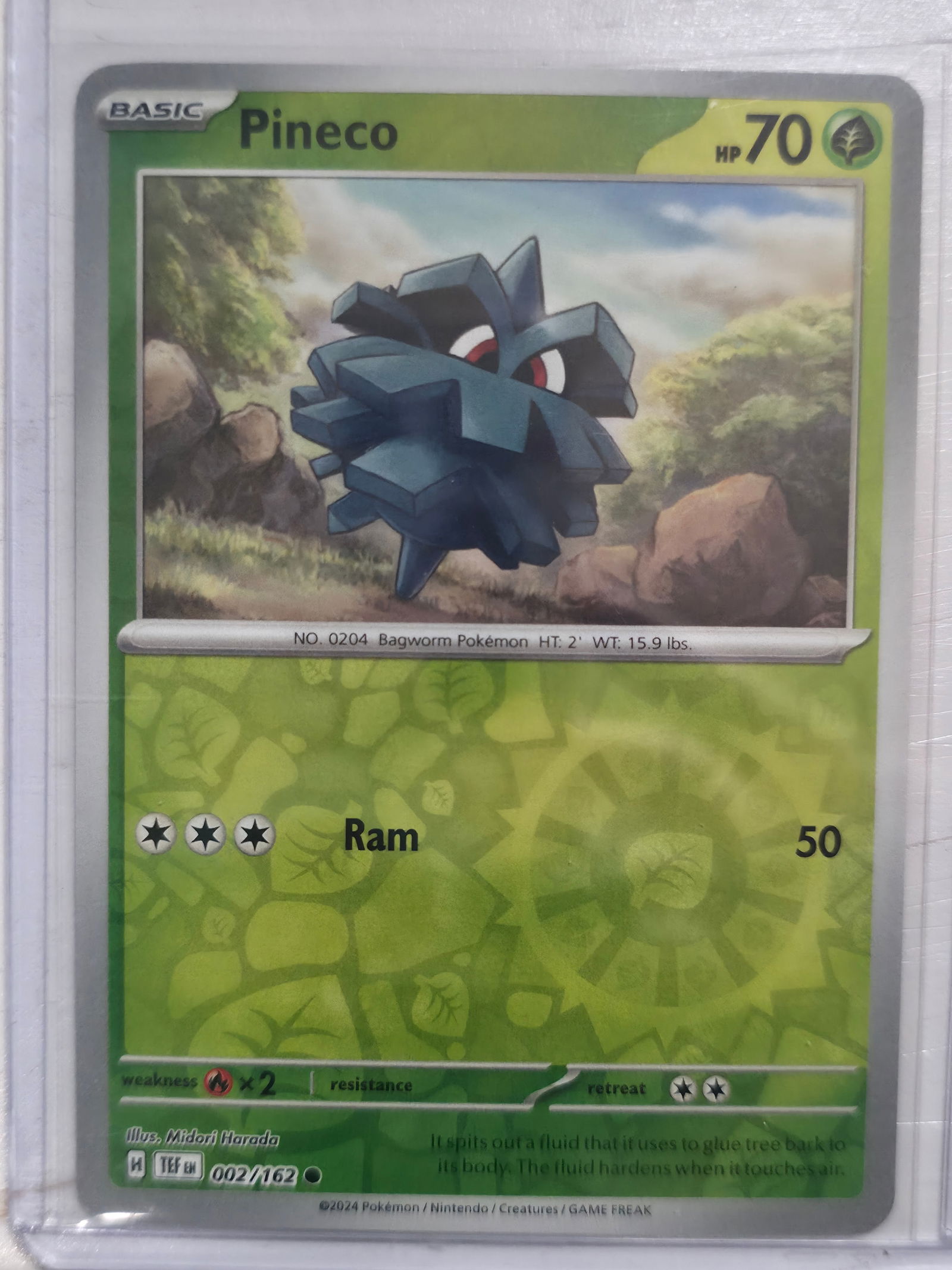 2024 Pineco Temporal Forces 002/162 Common: Pineco Basic Grass Pokemon. Temporal Forces set. Card number 002/162. Common non holo. Illustrated by Midori Harada. 2024 Pokemon Nintendo Creatures GAME FREAK. Preowned card stored in penny sleeve an