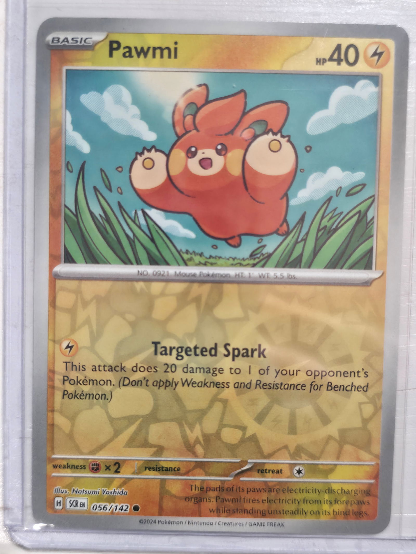 2024 Pawmi Stellar Crown 056/142 Common: Pawmi Basic Lightning Pokemon. Stellar Crown set. Card number 056/142. Common non holo. Illustrated by Natsumi Yoshida. Regulation mark H. 2024 Pokemon Nintendo Creatures GAME FREAK. Preowned card sto