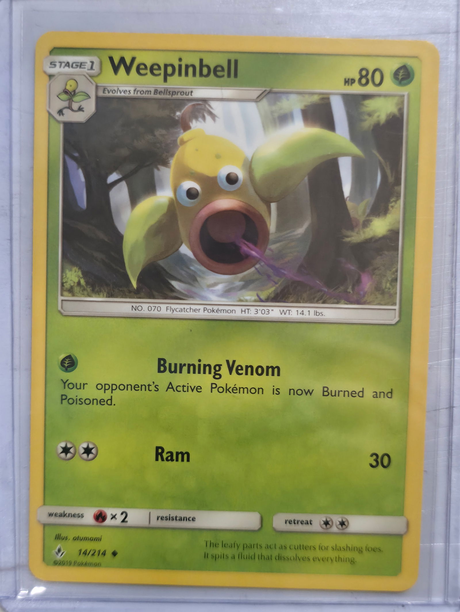 2019 Weepinbell Unbroken Bonds 14/214: 2019 Weepinbell Stage 1 Grass Pokemon evolving from Bellsprout. Unbroken Bonds set. Card number 14/214. HP 80. Attacks Burning Venom and Ram 30. Illustrated by otumami. Non holo. Preowned card stored
