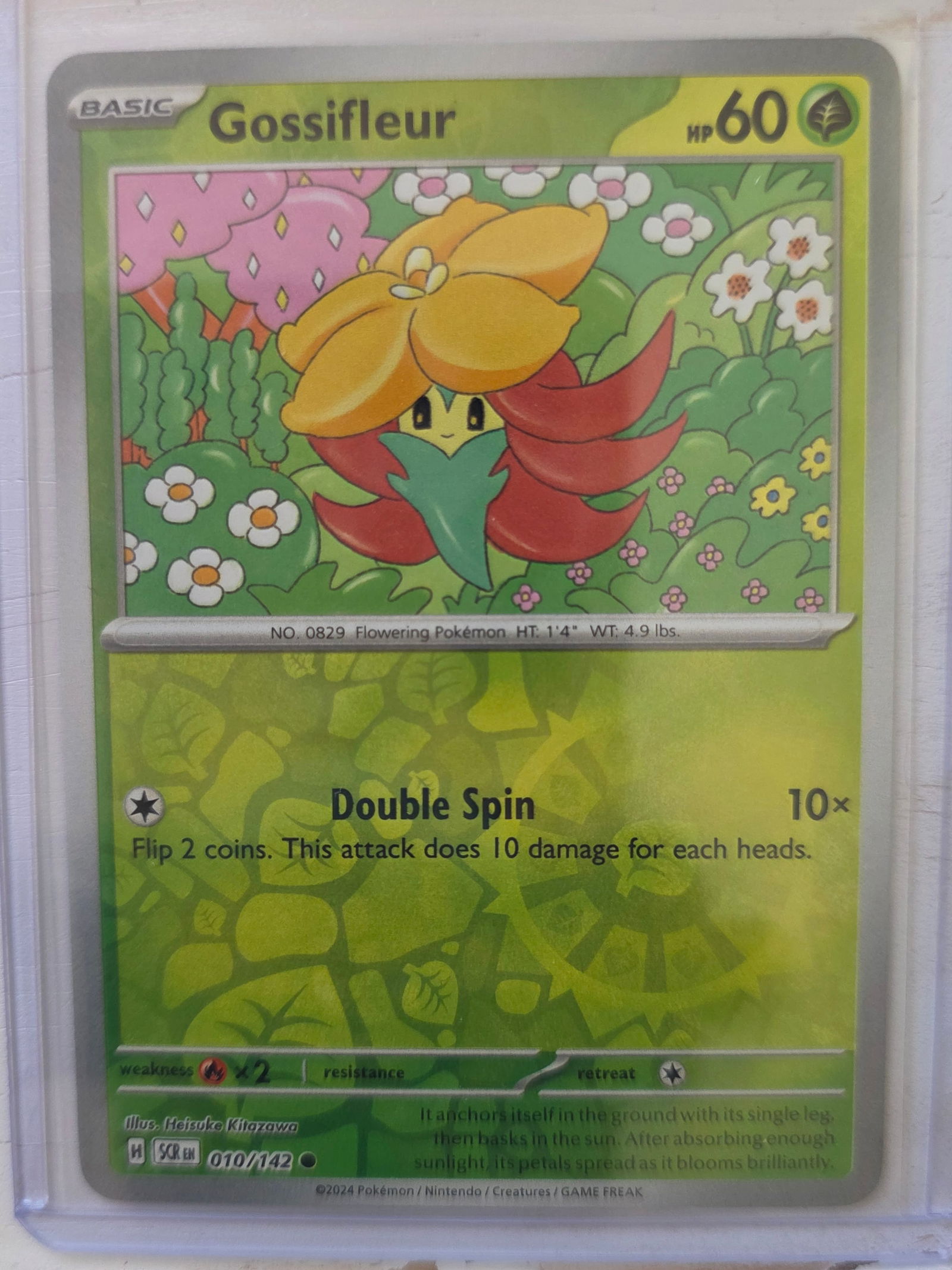 2024 Gossifleur SV Base 010/142: 2024 Gossifleur Basic Grass type Pokemon. Scarlet and Violet Base set. Card number 010/142. HP 60. Attack Double Spin 10x. Non holo card front. Preowned card stored in penny sleeve and top loader. Sol