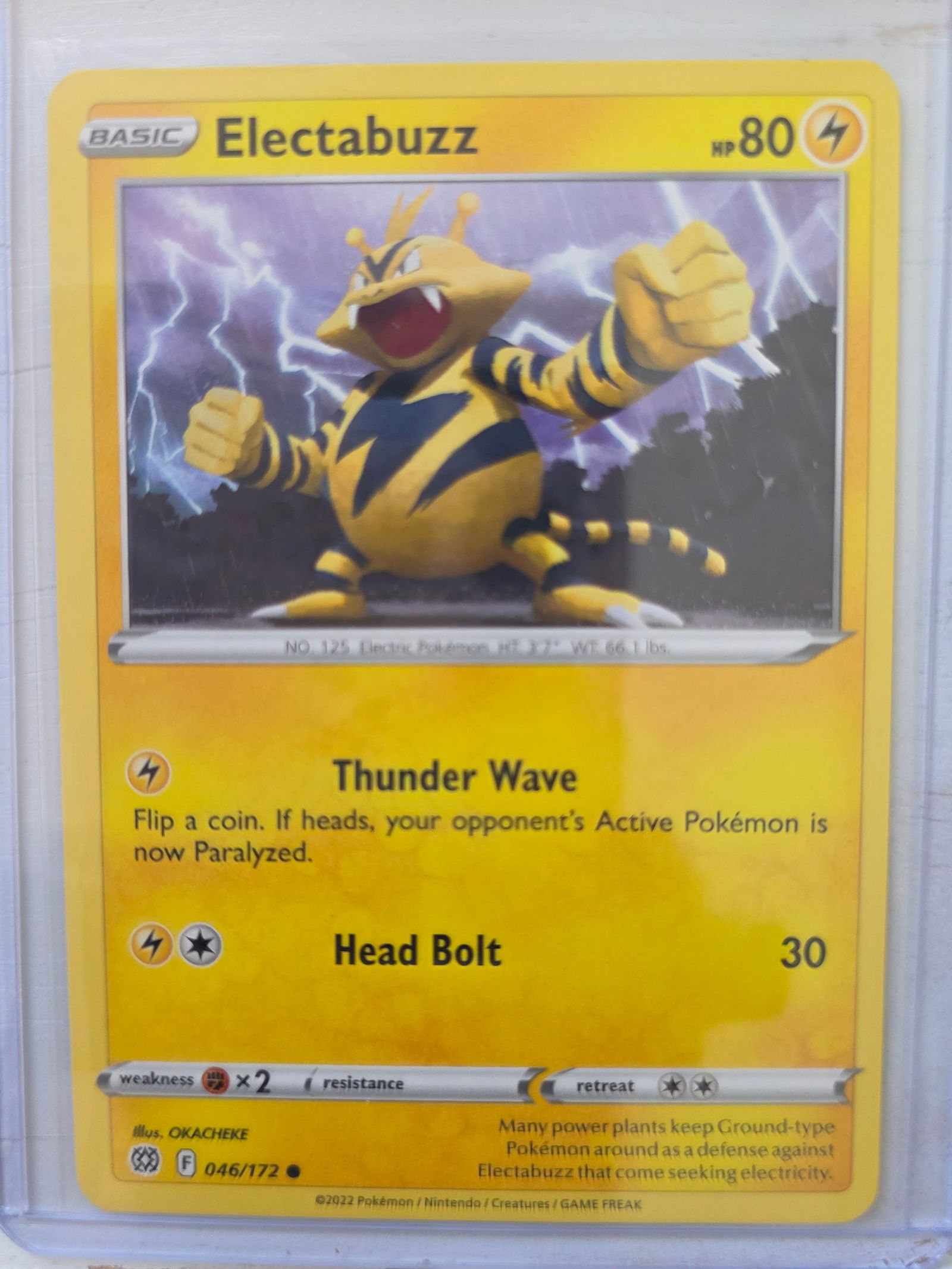 2022 Electabuzz 046/172 Non Holo: 2022 Electabuzz Basic card 046/172. 80 HP Lightning type. Thunder Wave. Head Bolt 30. Non holo card. Preowned and stored in penny sleeve and top loader. Sold as shown.