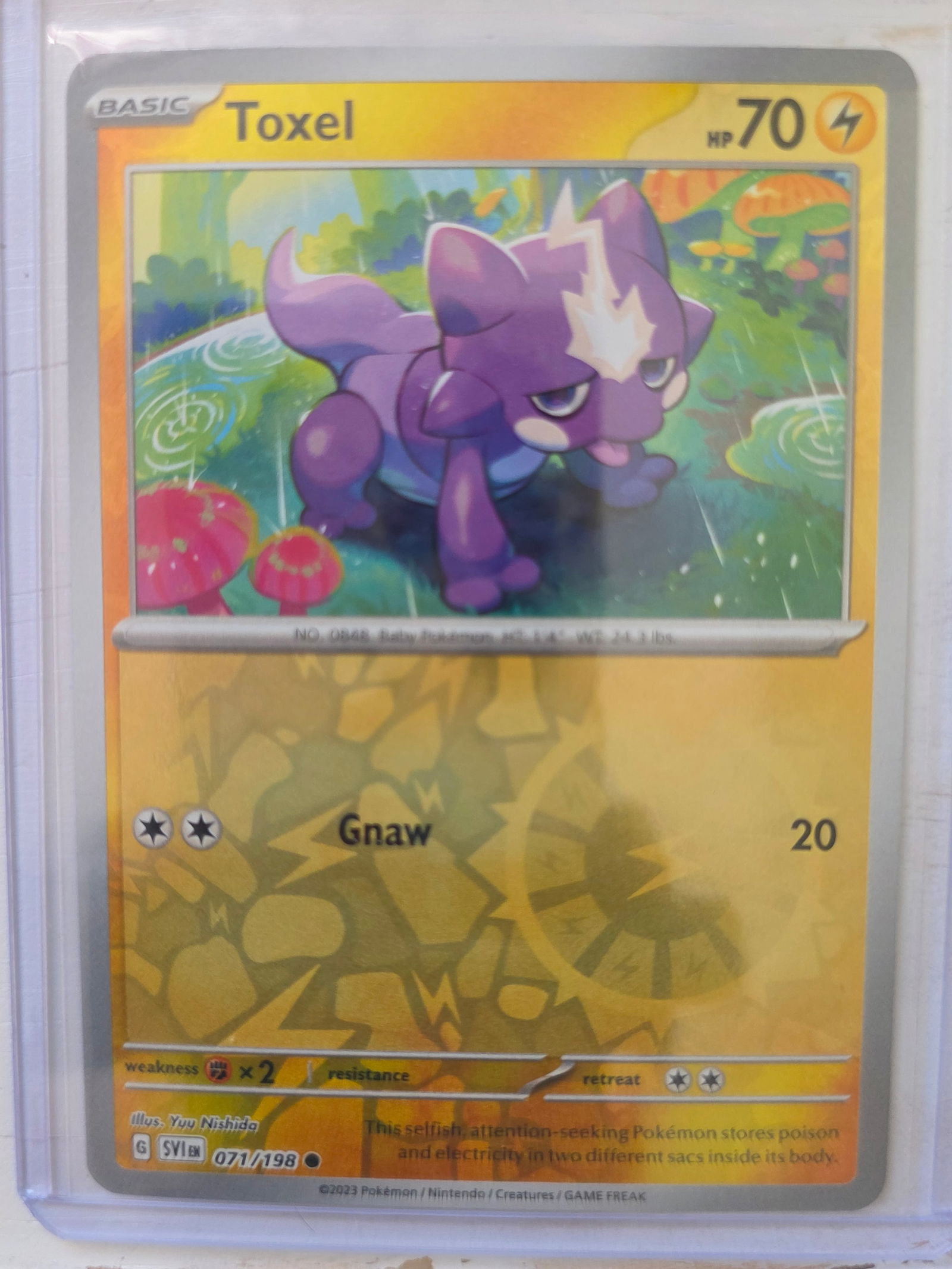 2023 Toxel Scarlet and Violet 071/198 Reverse Holo: 2023 Toxel Basic card 071/198 from Scarlet and Violet. 70 HP Lightning type. Gnaw 20. Reverse holo foil pattern across card surface with non holo artwork box. Preowned and stored in penny sleeve and t