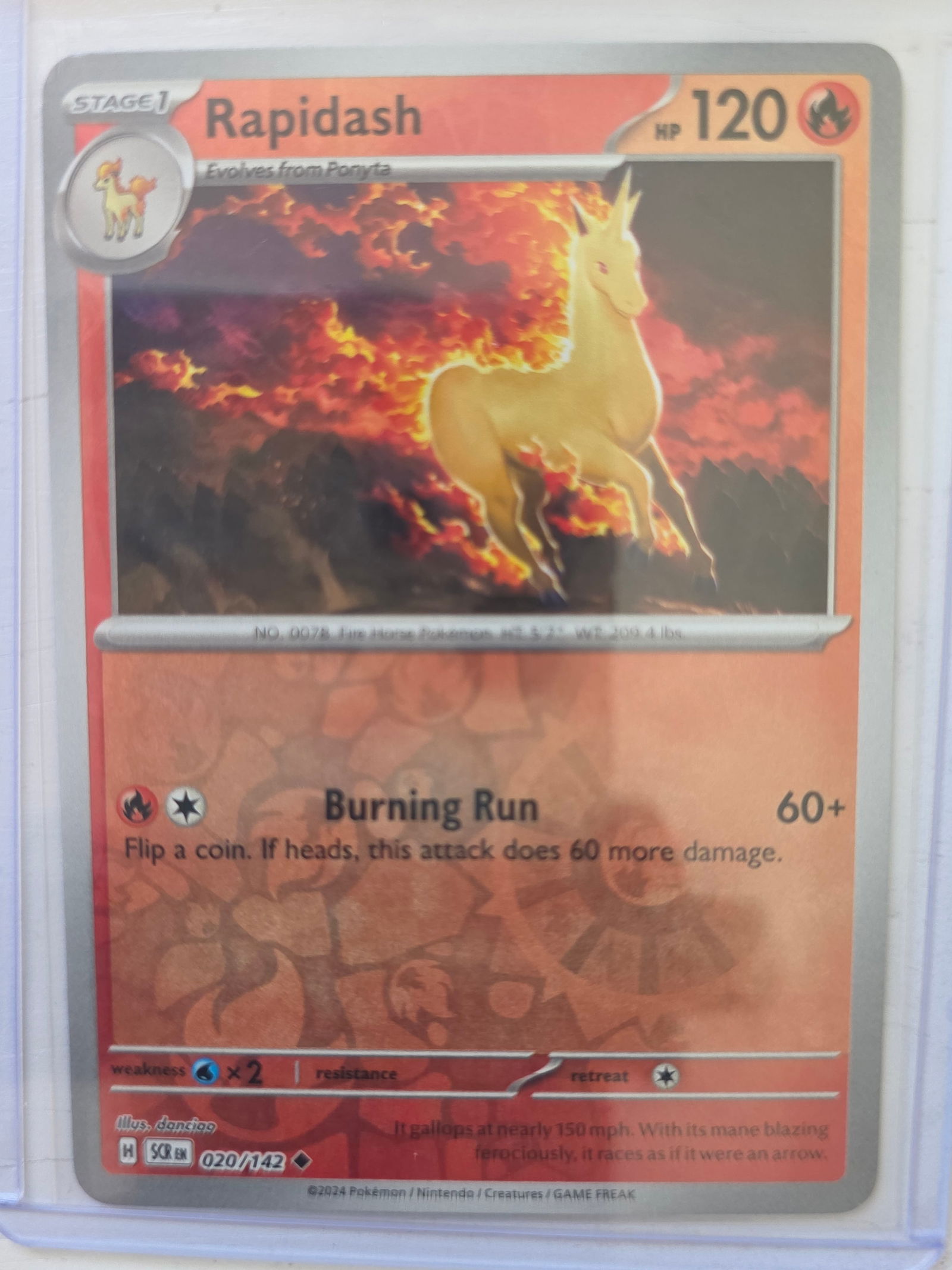 2024 Pokemon Rapidash Stellar Crown 020/142 Reverse Holo Rare TCG Card Nintendo (1 of 3)