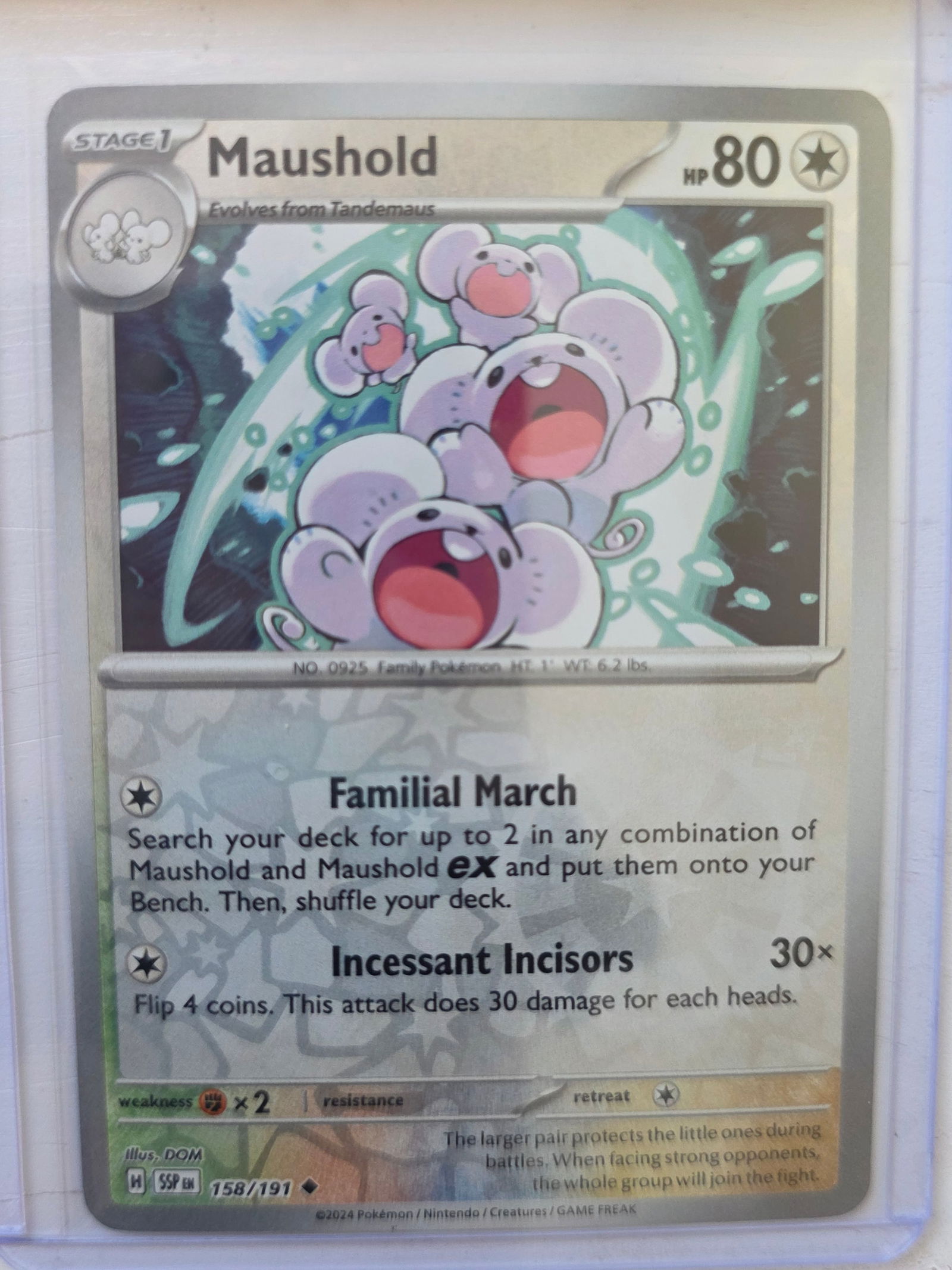 2024 Maushold Paradox Rift 158/191 Reverse Holo Pokemon Card: 2024 Pokemon Maushold reverse holo card numbered 158/191 from the Scarlet & Violet Paradox Rift expansion set. Stage 1 Pokemon evolving from Tandemaus. Illustrated by DOM. Reverse holographic foil pat