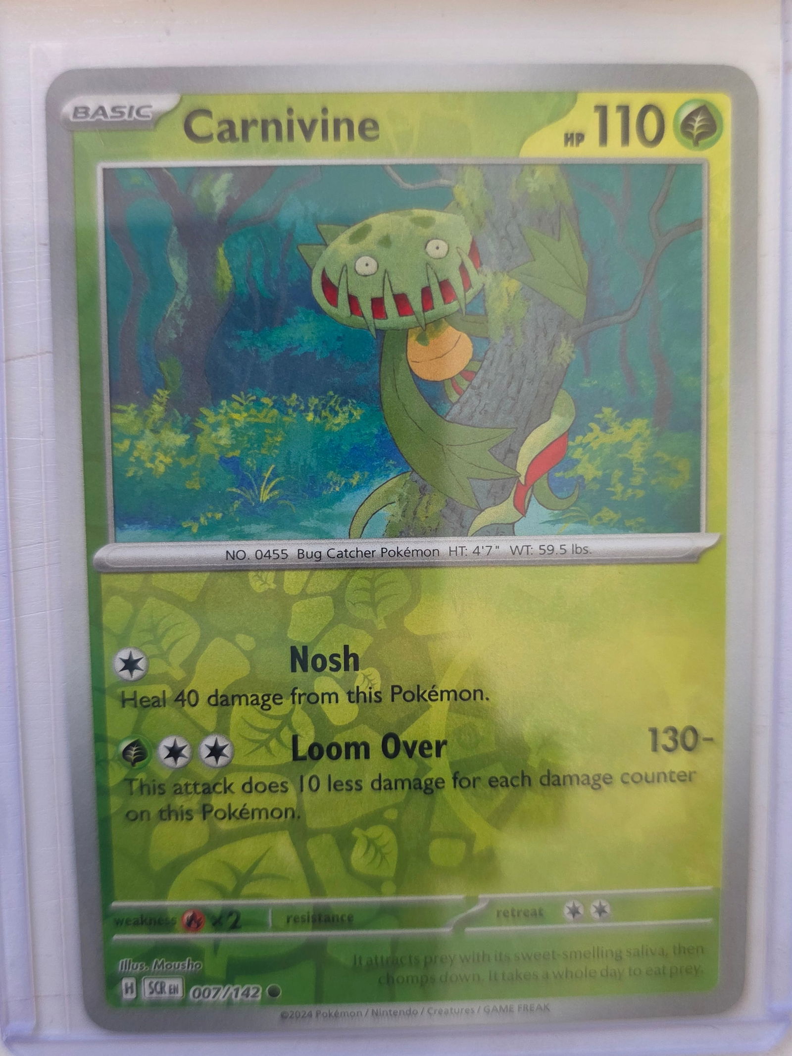 2024 Carnivine Stellar Crown 007/142 Reverse Holo Pokemon Card: 2024 Pokemon Carnivine reverse holo card numbered 007/142 from the Scarlet & Violet Stellar Crown expansion set. Basic Grass-type Pokemon illustrated by Mousho. Reverse holographic foil pattern across