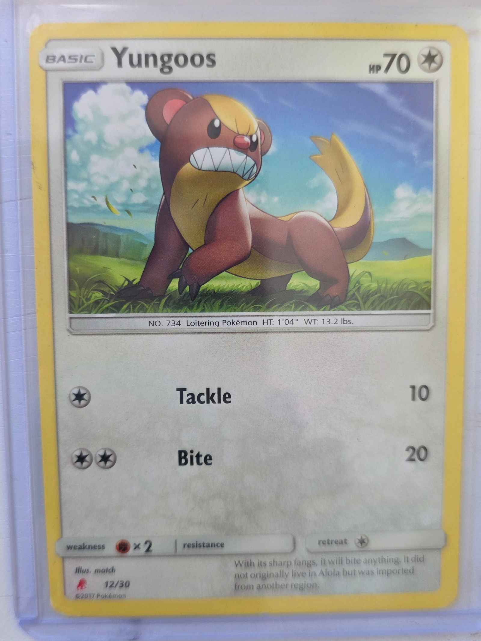 2017 Yungoos McDonalds Collection 12/30 Pokemon Card: 2017 Pokemon Yungoos card numbered 12/30 from the McDonalds Pokemon Trading Card Game Collection promotional set. Illustrated by match. Card stored in penny sleeve and top loader.