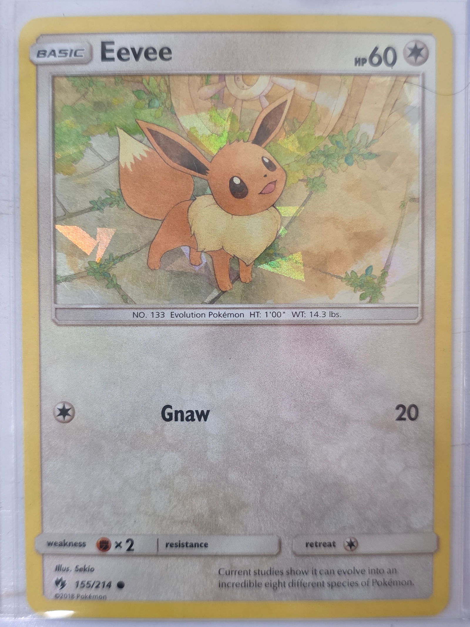 2018 Eevee Lost Thunder 155/214 Reverse Holo Pokemon Card: 2018 Pokemon Eevee reverse holo card numbered 155/214 from the Sun & Moon Lost Thunder expansion set. Illustrated by Sekio. Reverse holographic foil pattern across the card surface. Card stored in pen