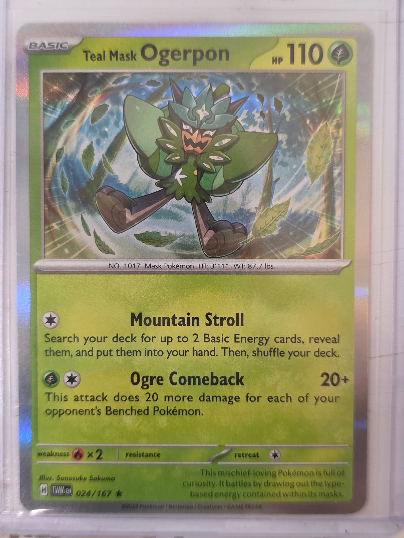 2024 Teal Mask Ogerpon Twilight Masquerade 024/167 Holo Pokemon Card: 2024 Pokemon Teal Mask Ogerpon holographic card numbered 024/167 from the Scarlet & Violet Twilight Masquerade expansion set. Illustrated by Sanosuke Sakuma. Holographic foil finish across the illustr