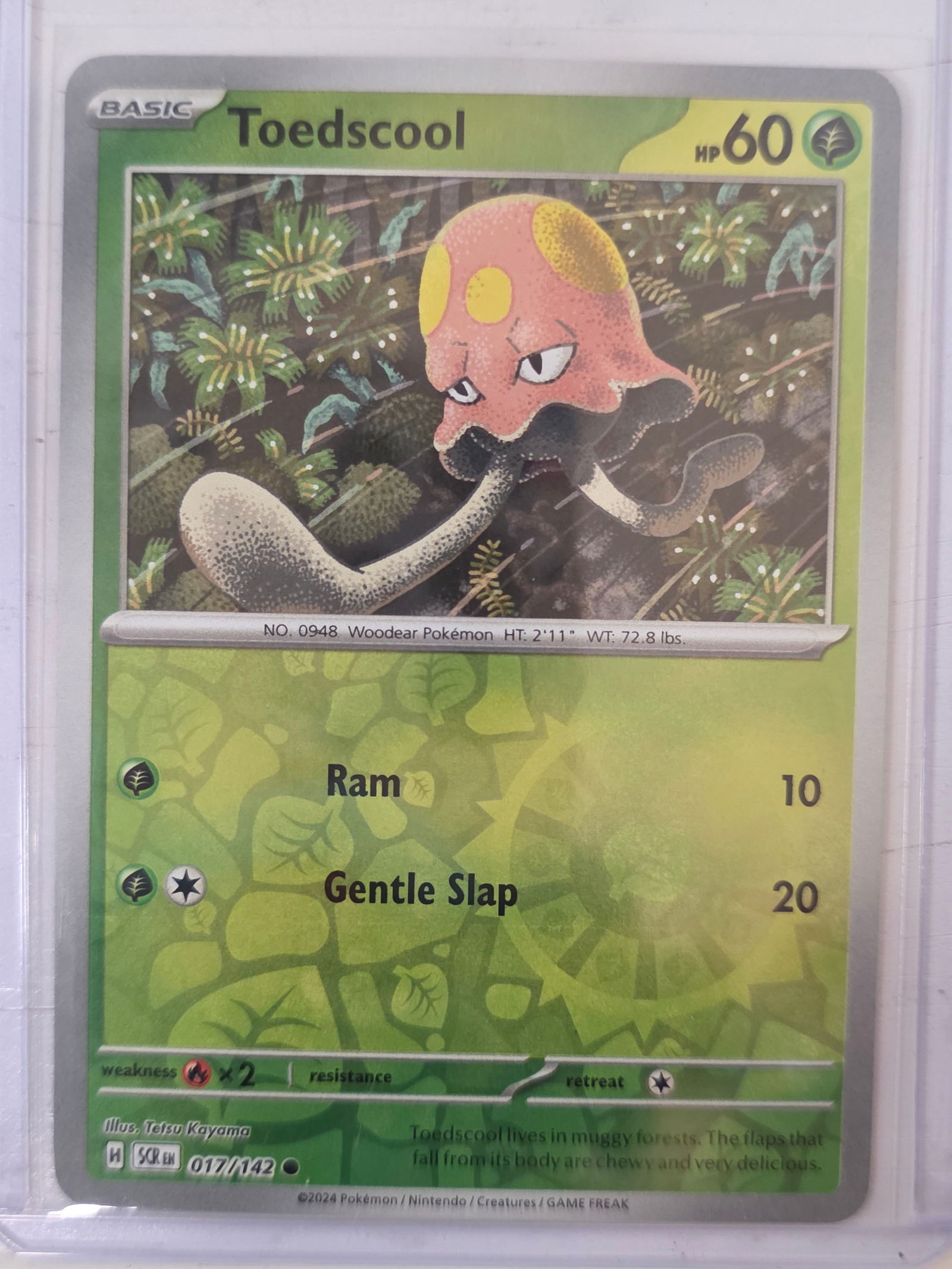 2024 Toedscool Stellar Crown 017/142: 2024 Pokemon Toedscool card numbered 017/142 from the Scarlet & Violet Stellar Crown expansion set. Card stored in penny sleeve and top loader.