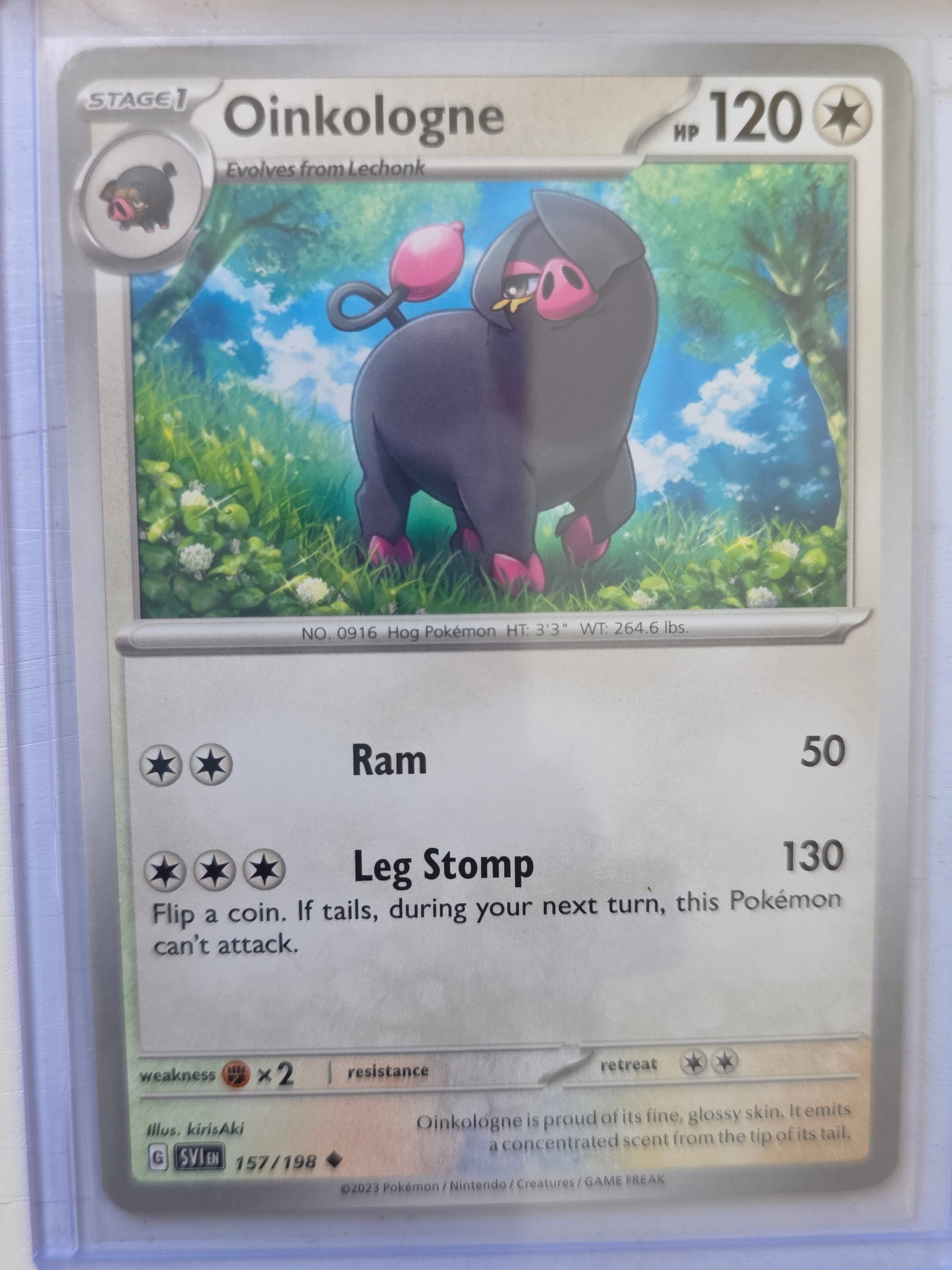 2023 Oinkologne Scarlet & Violet 157/198 Pokemon Card: 2023 Pokemon Oinkologne card numbered 157/198 from the Scarlet & Violet base expansion set. Illustrated by kirisAki. Stage 1 Colorless-type Pokemon evolving from Lechonk. Card stored in penny sleeve a