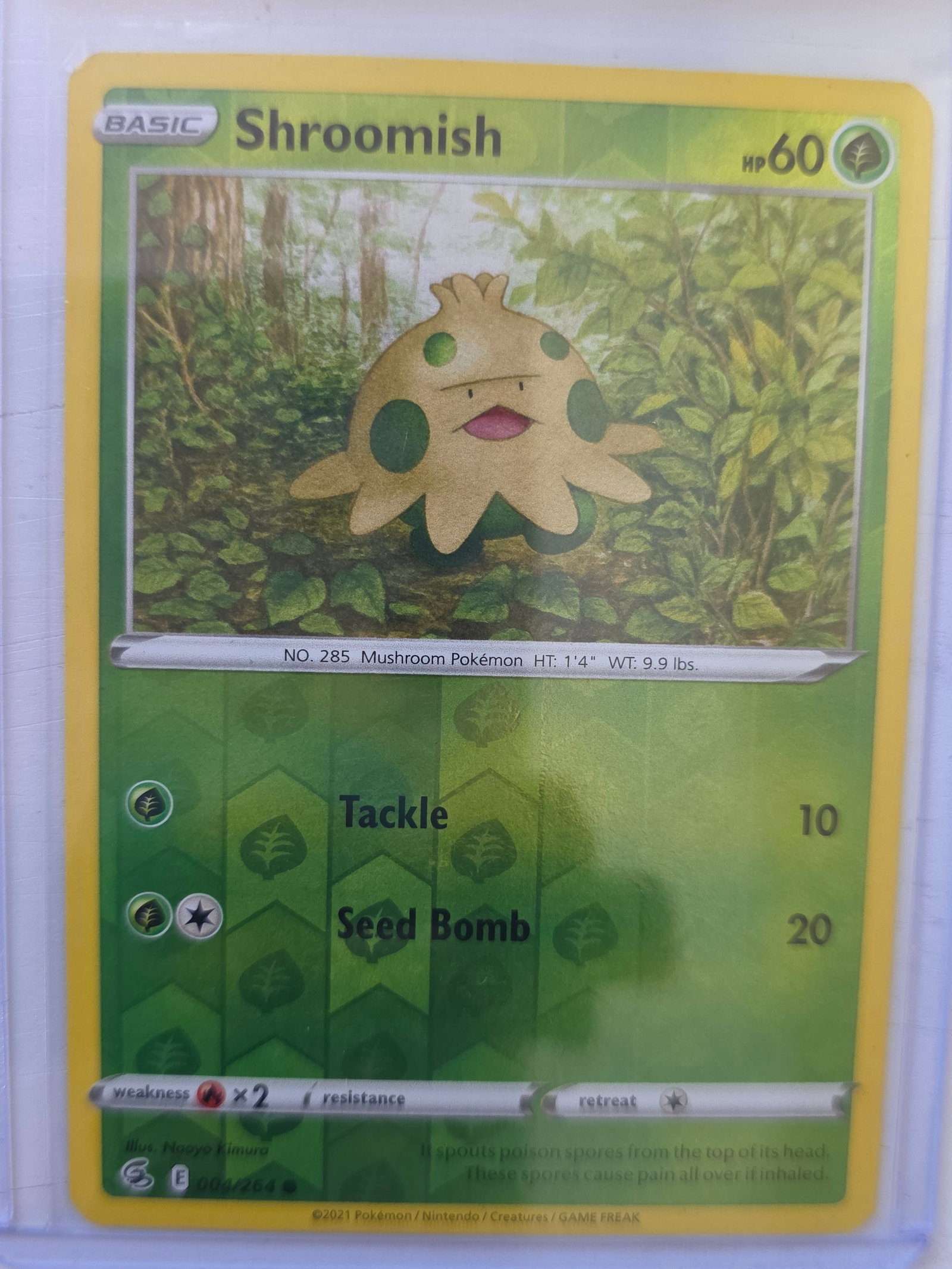 2021 Shroomish Evolving Skies 004/203 Reverse Holo Pokemon Card: 2021 Pokemon Shroomish reverse holo card numbered 004/203 from the Sword & Shield Evolving Skies expansion set. Illustrated by Naoyo Kimura. Reverse holographic foil pattern across the card surface. C