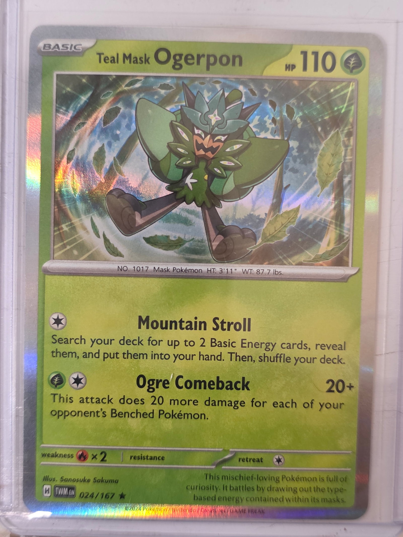 2024 Teal Mask Ogerpon Twilight Masquerade 024/167 Holo Pokemon Card: 2024 Pokemon Teal Mask Ogerpon holographic card numbered 024/167 from the Scarlet & Violet Twilight Masquerade expansion set. Illustrated by Sanosuke Sakuma. Holographic foil finish across the illustr