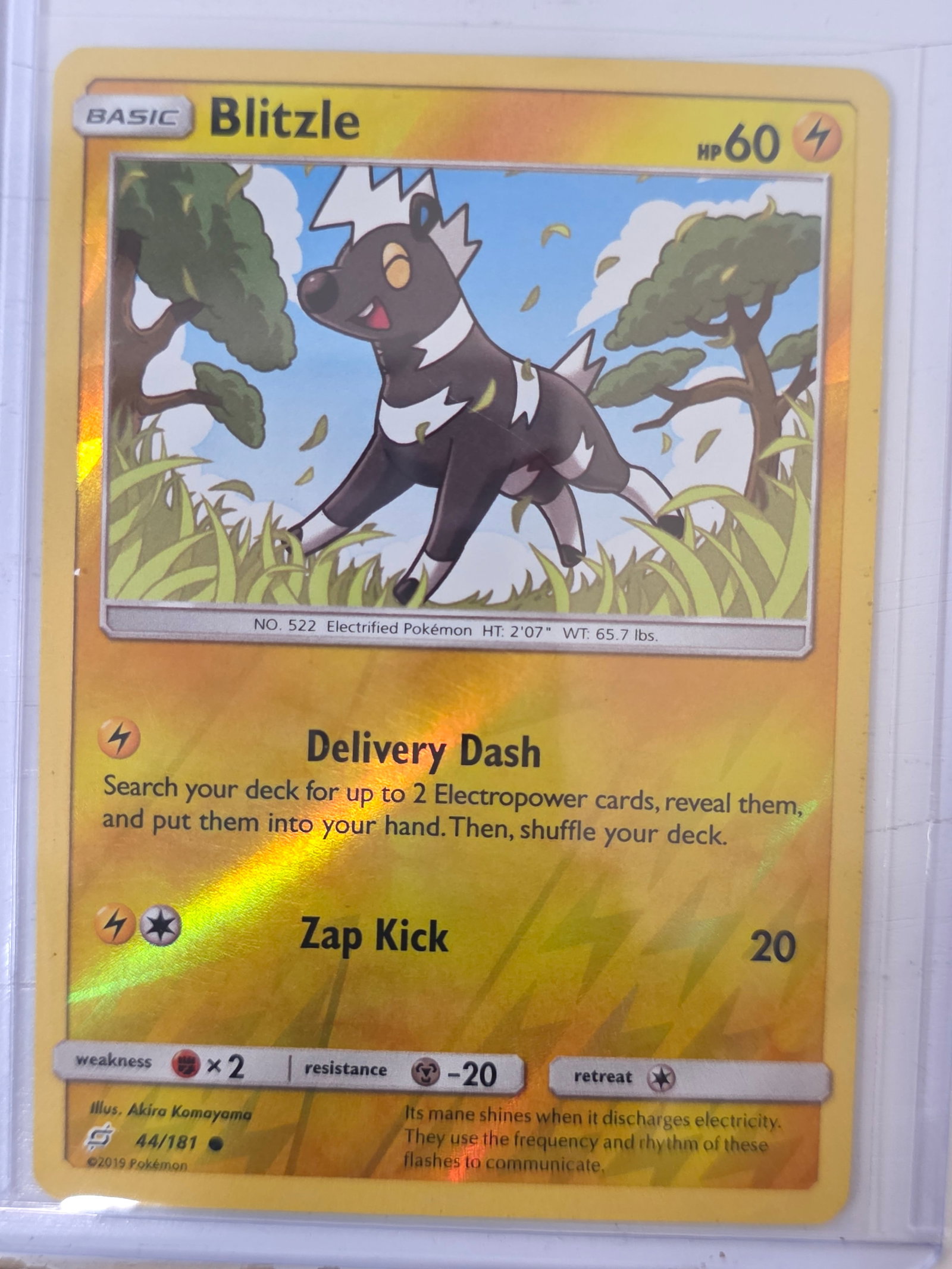 2019 Blitzle Team Up 44/181 Reverse Holo Pokemon Card: 2019 Pokemon Blitzle reverse holo card numbered 44/181 from the Sun & Moon Team Up expansion set. Illustrated by Akira Komayama. Reverse holographic foil pattern across the card surface. Card stored i