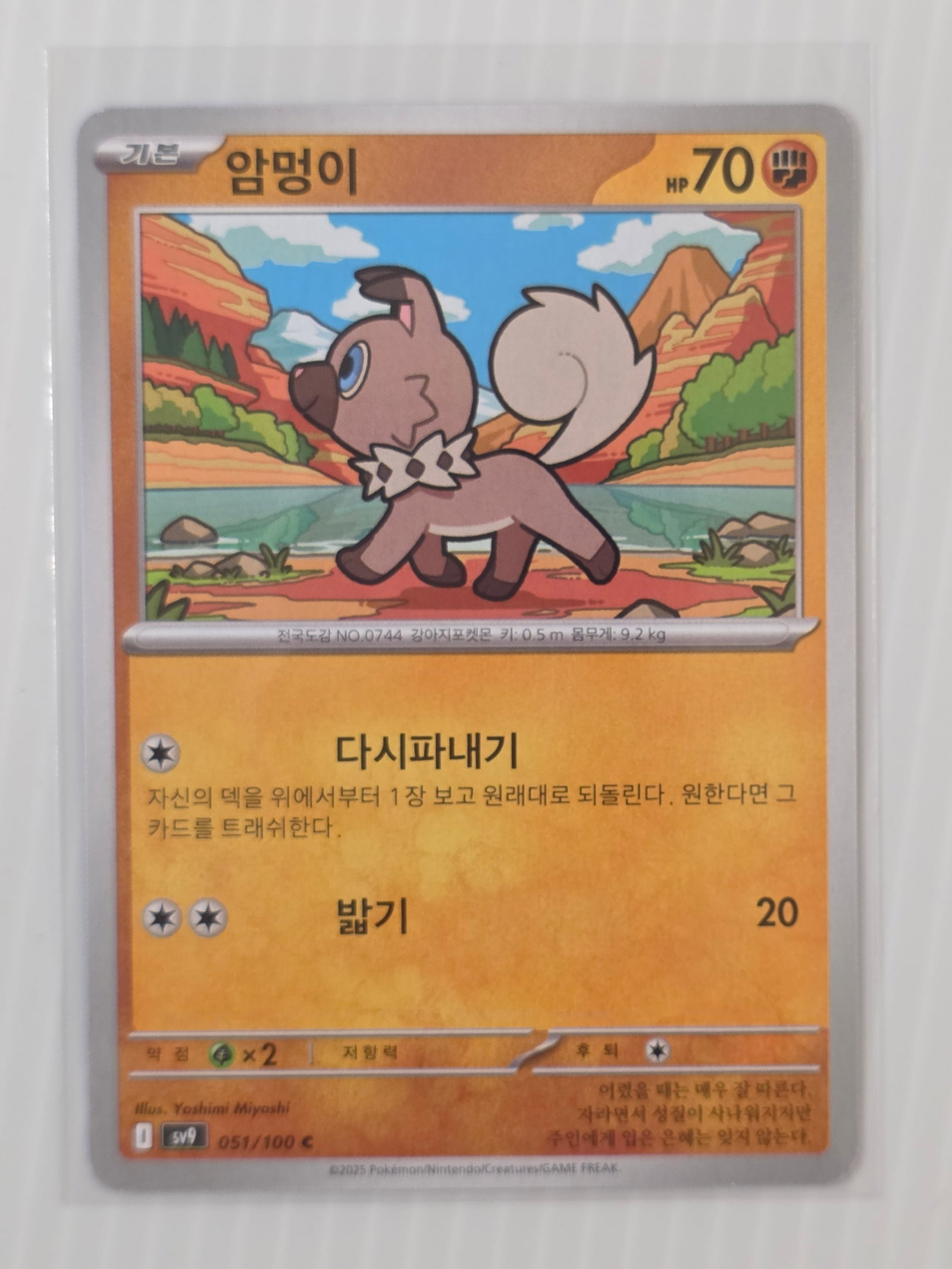 2025 Rockruff SV9 051/100 Korean Pokemon Card (1 of 4)