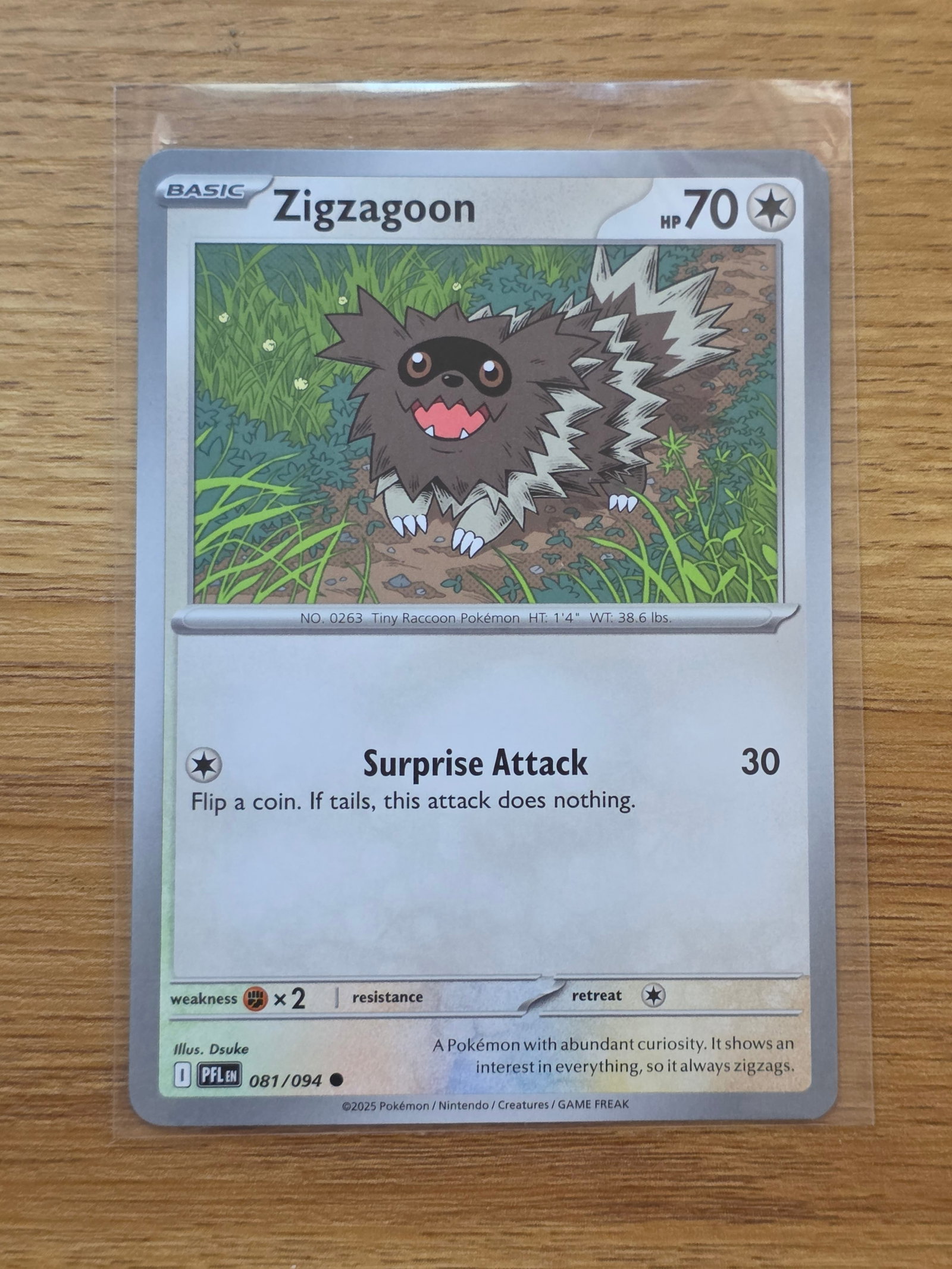 Zigzagoon 081/094 Paldean Fates Pokemon Card Auction (1 of 3)